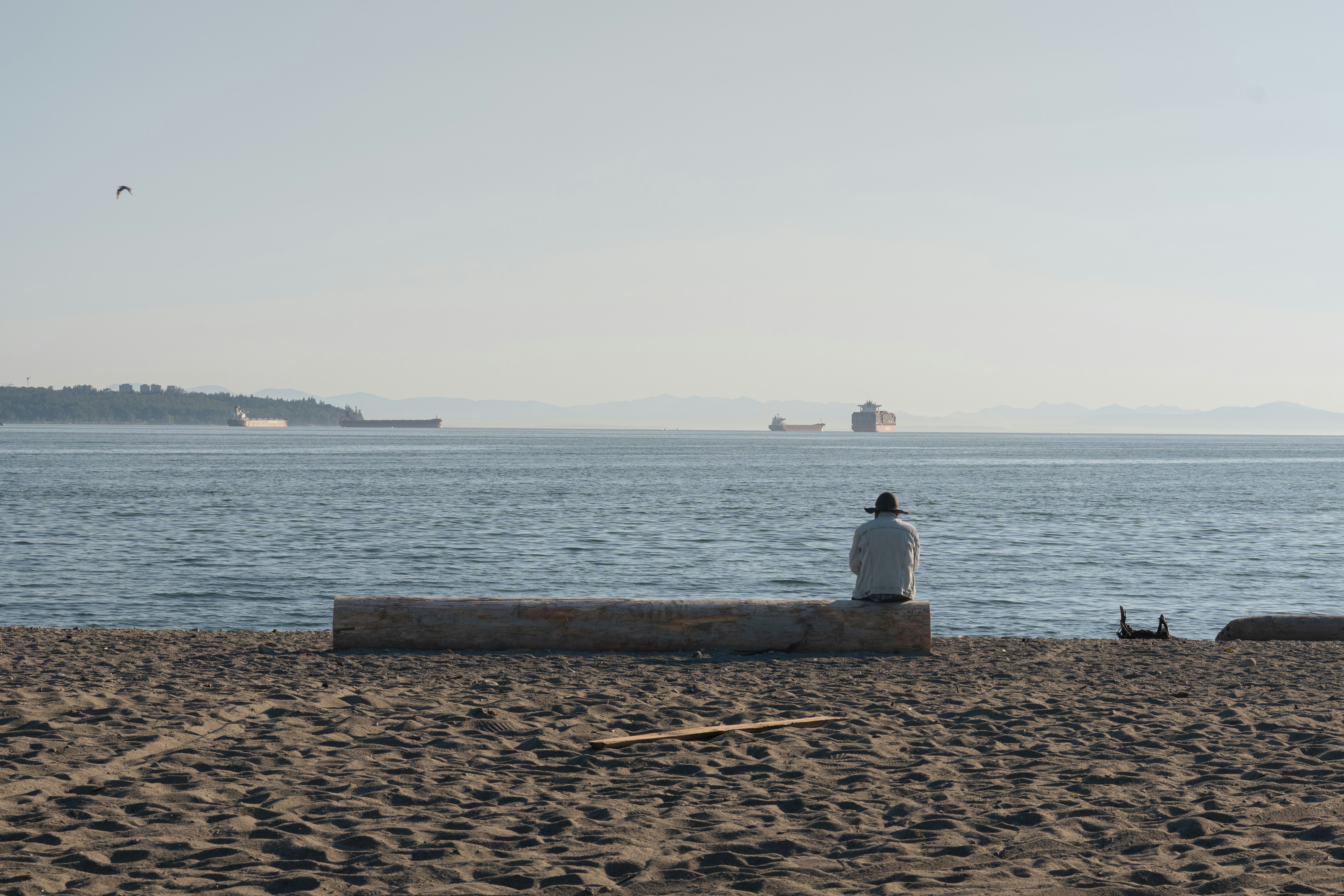 A person sitting on a bench on the beach