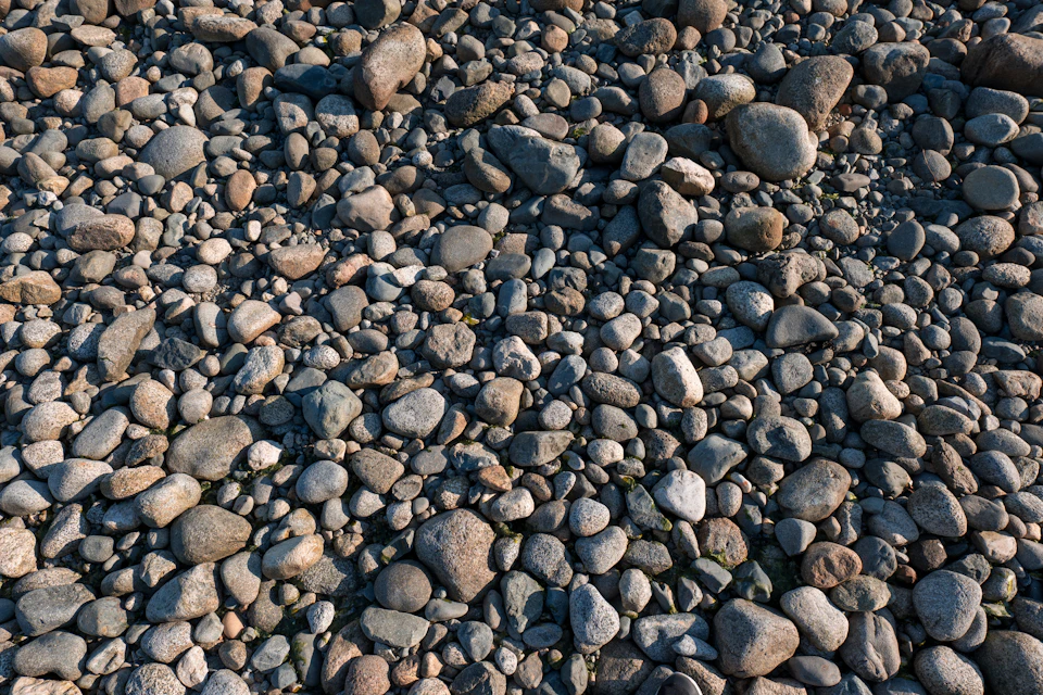 Close-up view of rocky landscape with scattered small rocks in varying sizes and shapes