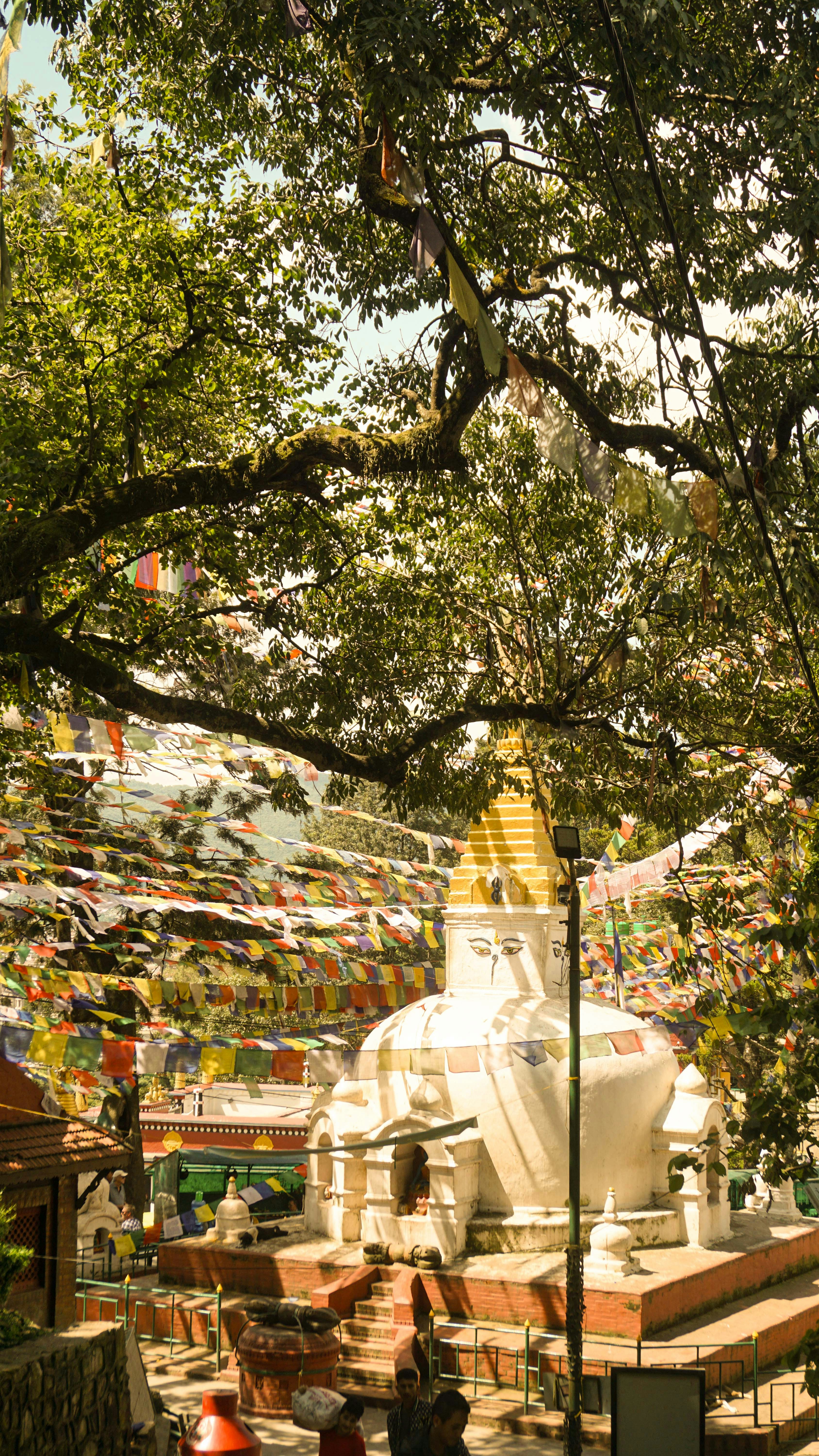 Eine Gruppe von Menschen, die neben einem Baum eine Straße entlang gehen