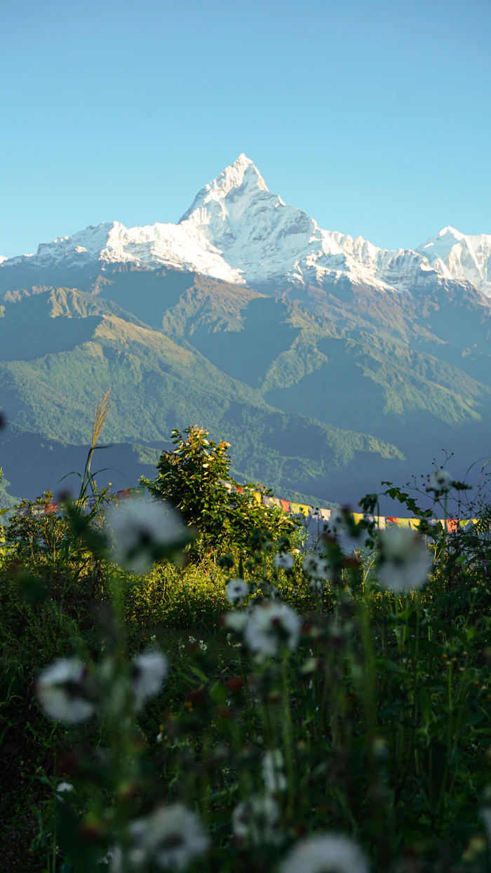 Langtang Region