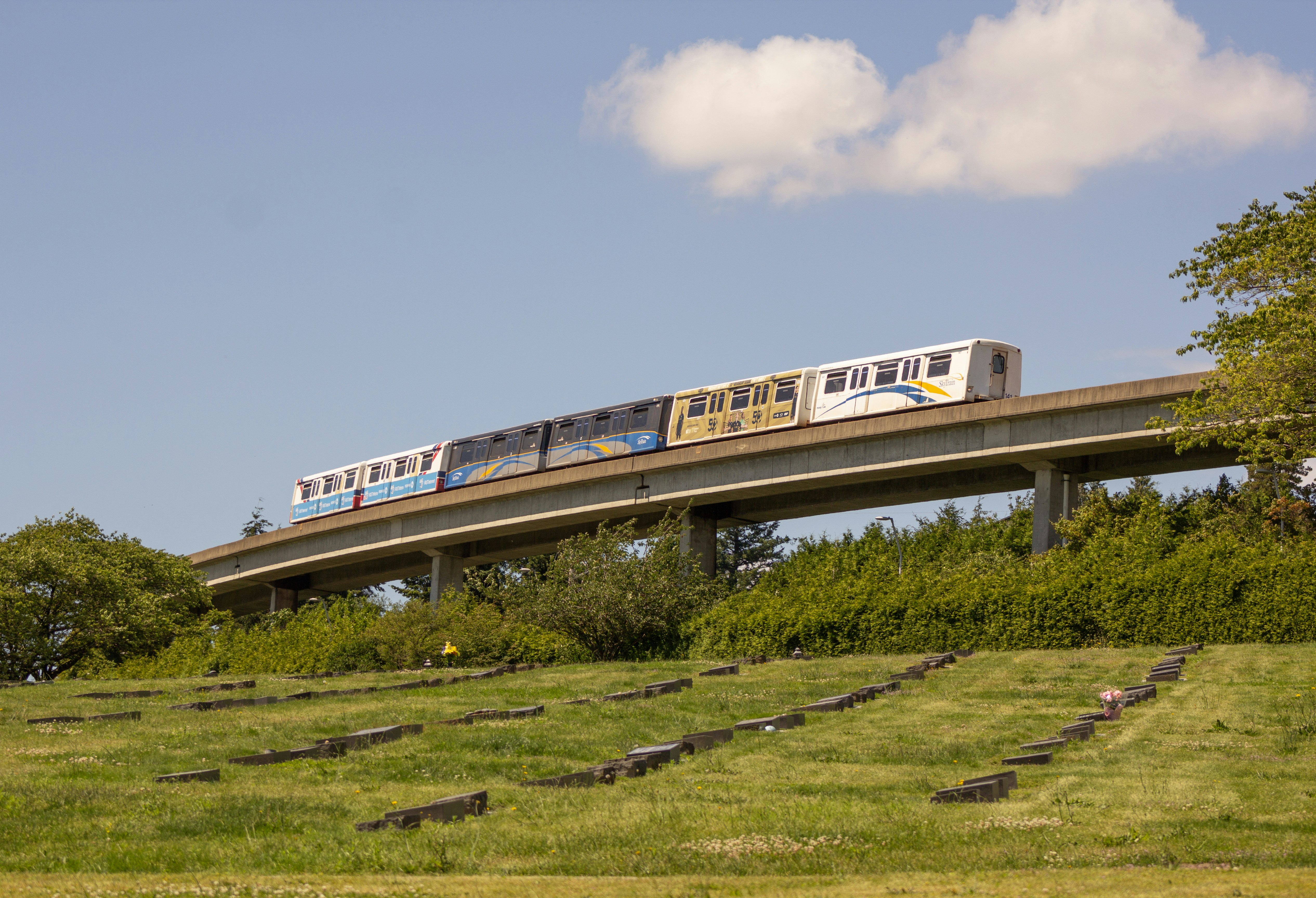 Photo by west_coast_photos_inc