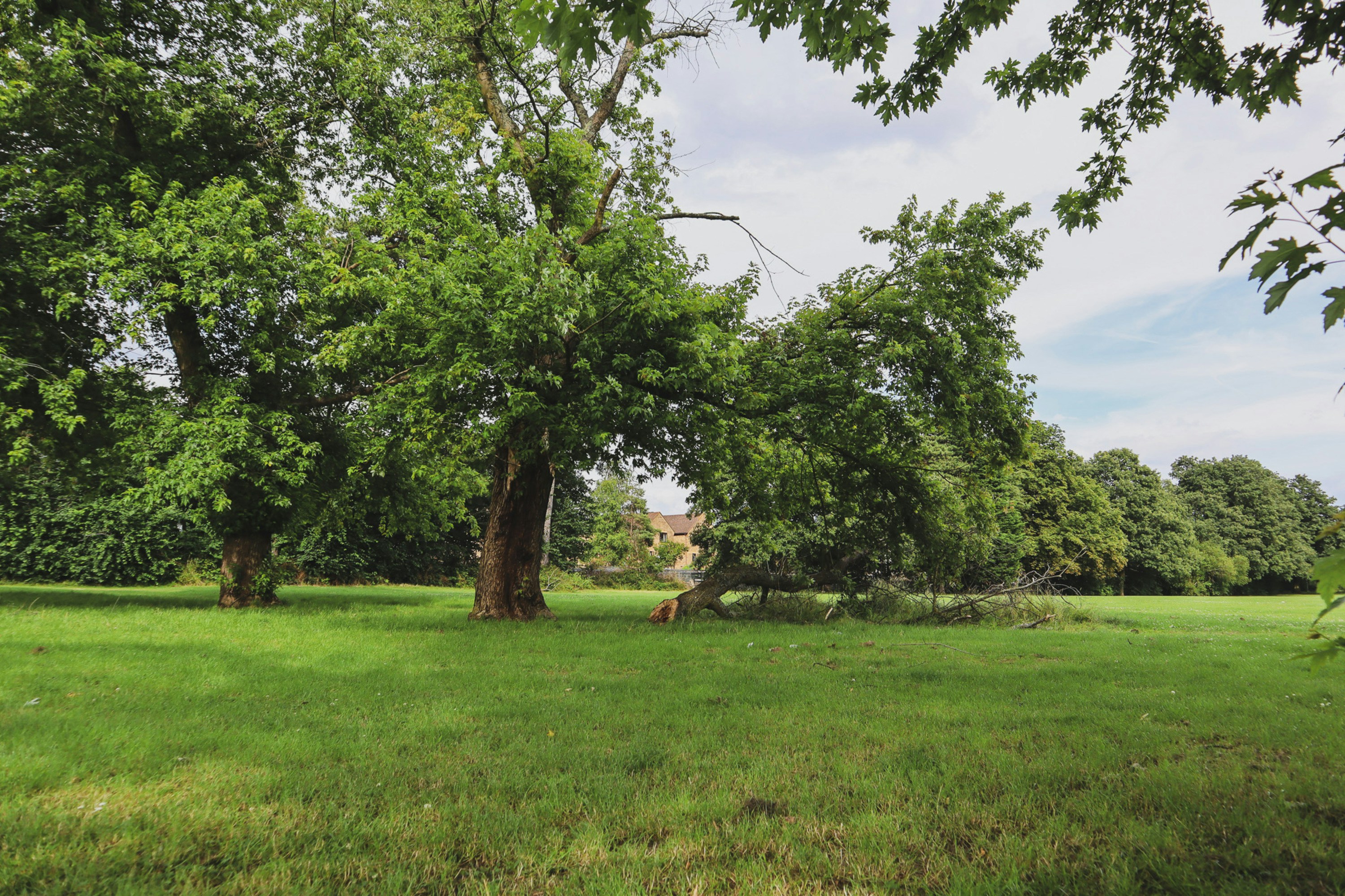 Photo by margarita30