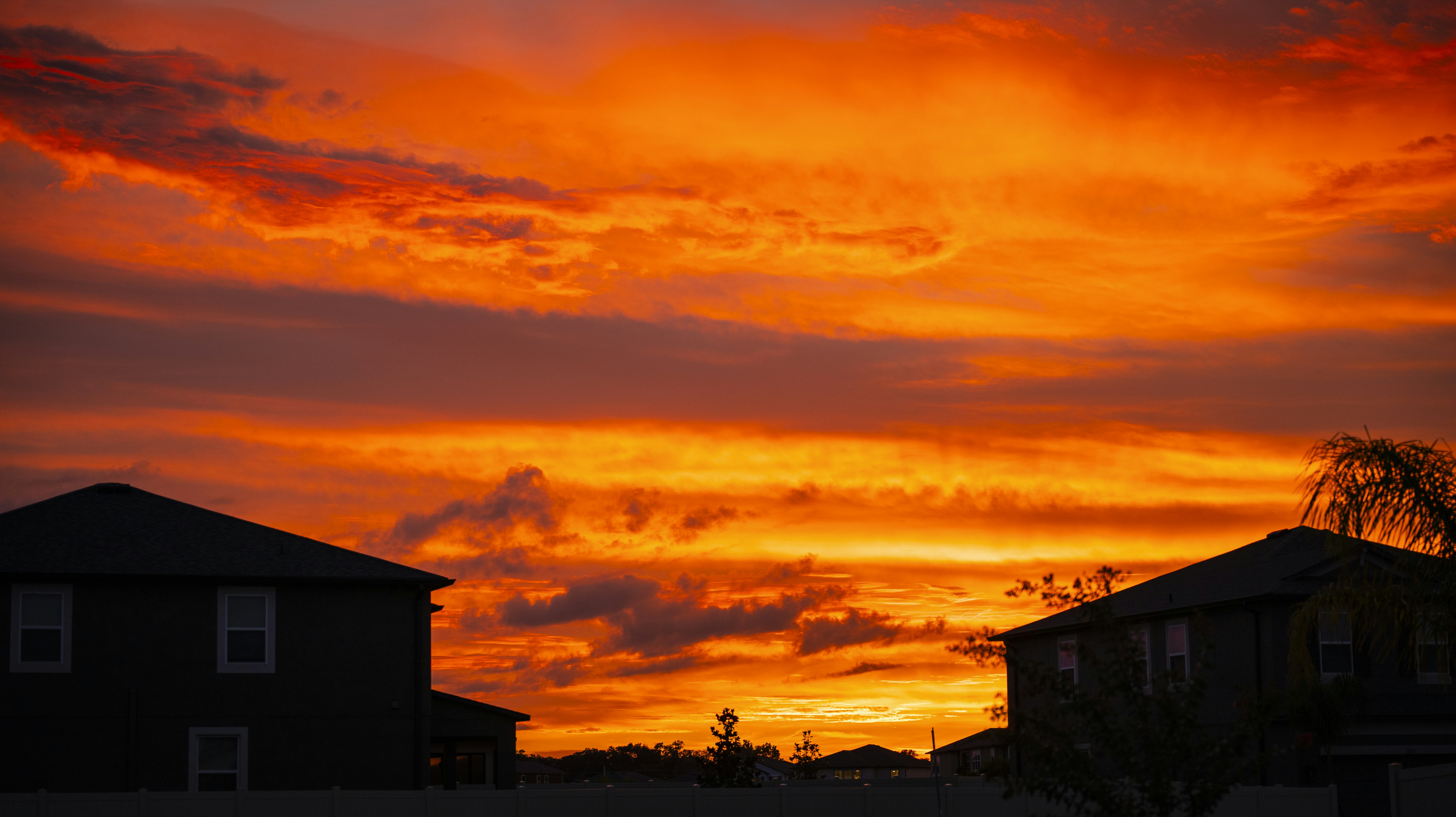 Photo by directorzay