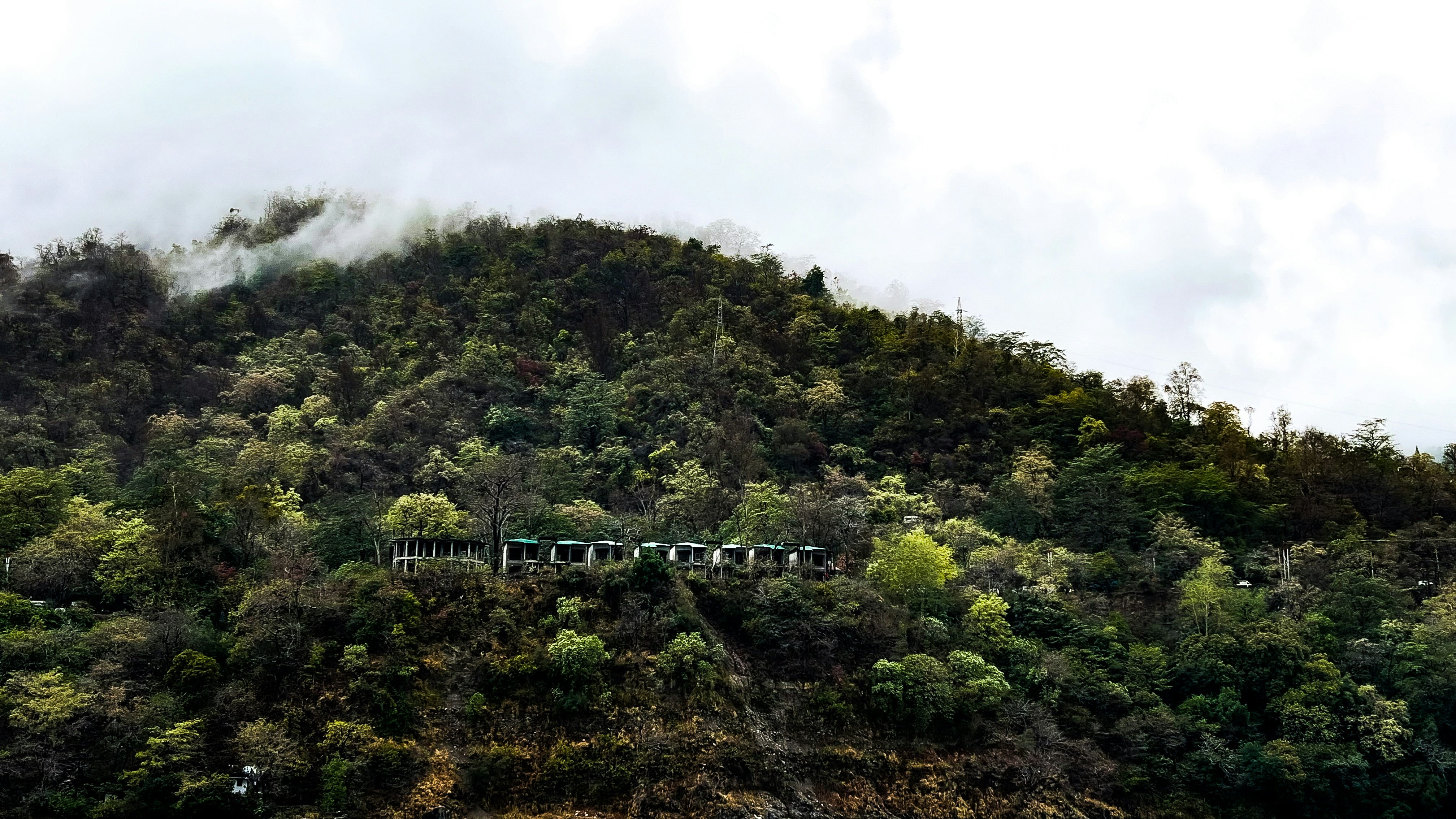 Photo by niloyhimu96