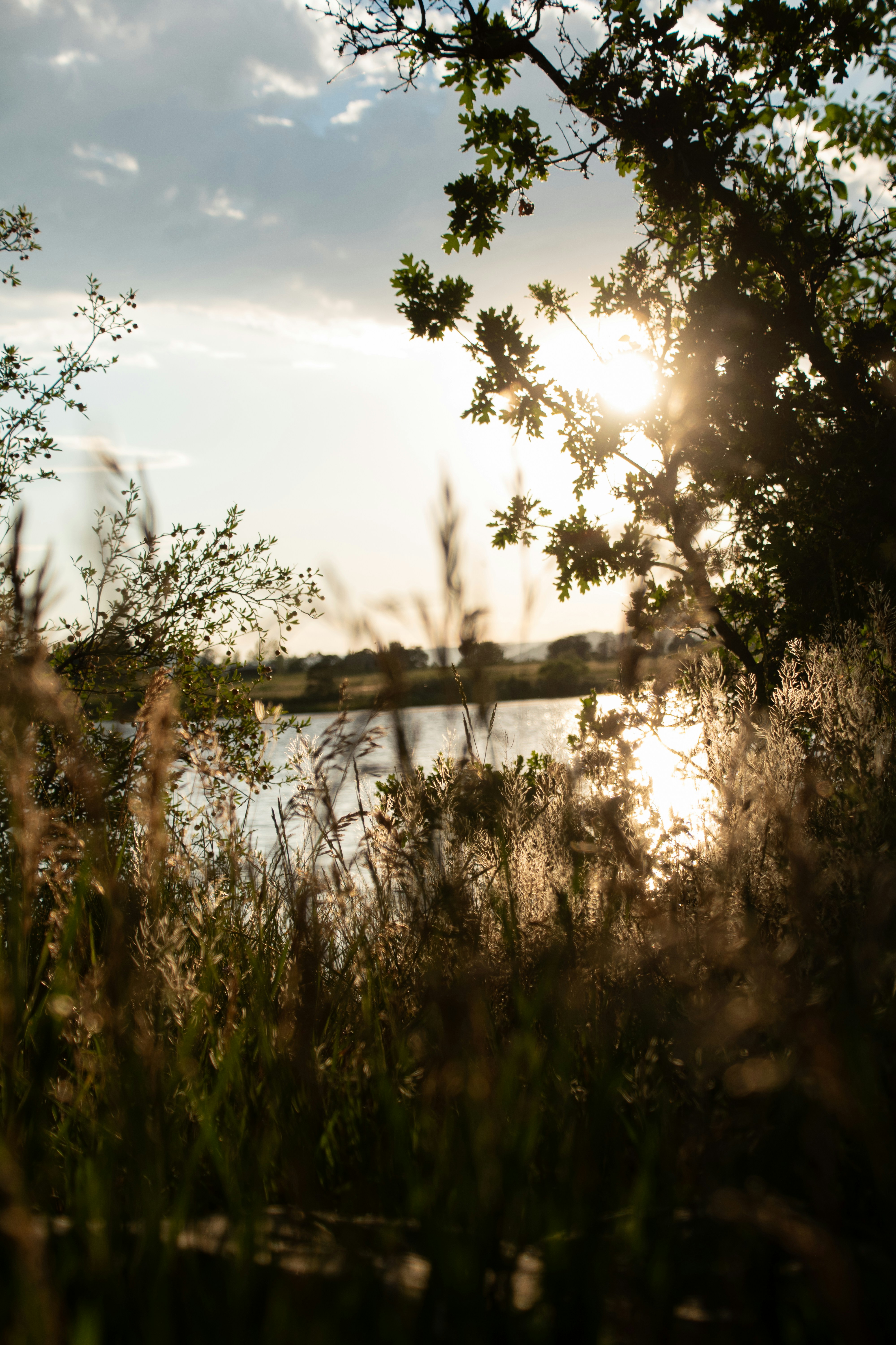 Photo by attaliehart