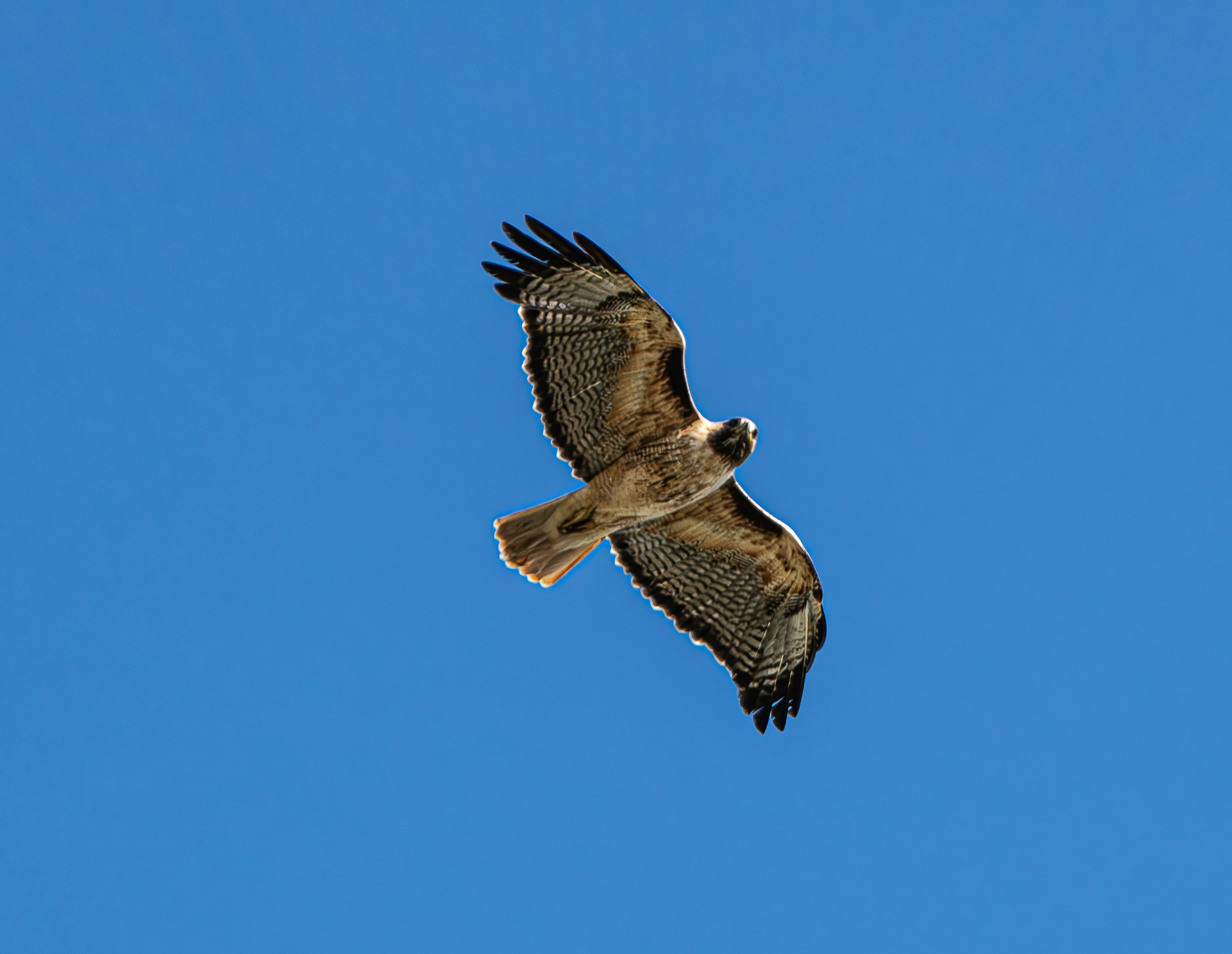 Photo by bhandlermd2305