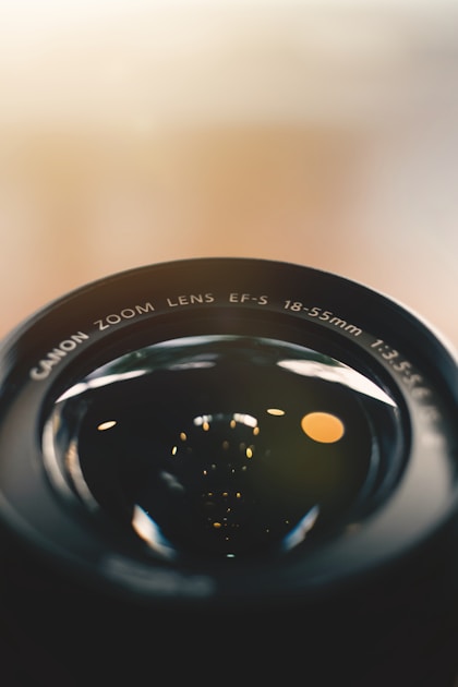 Tierfotografie haustiere in szene setzen — practical guide overview