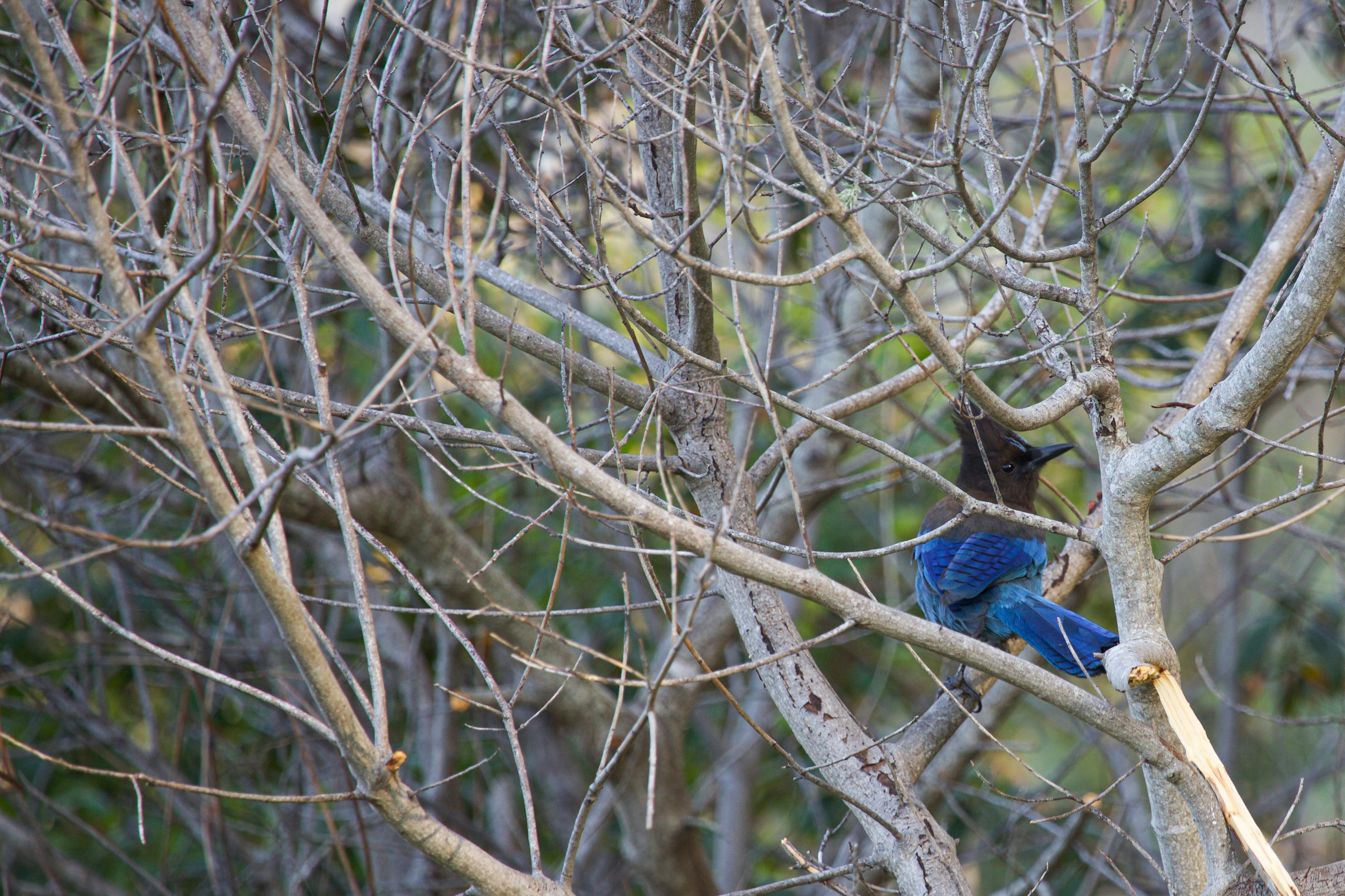 Photo by matthewmentley