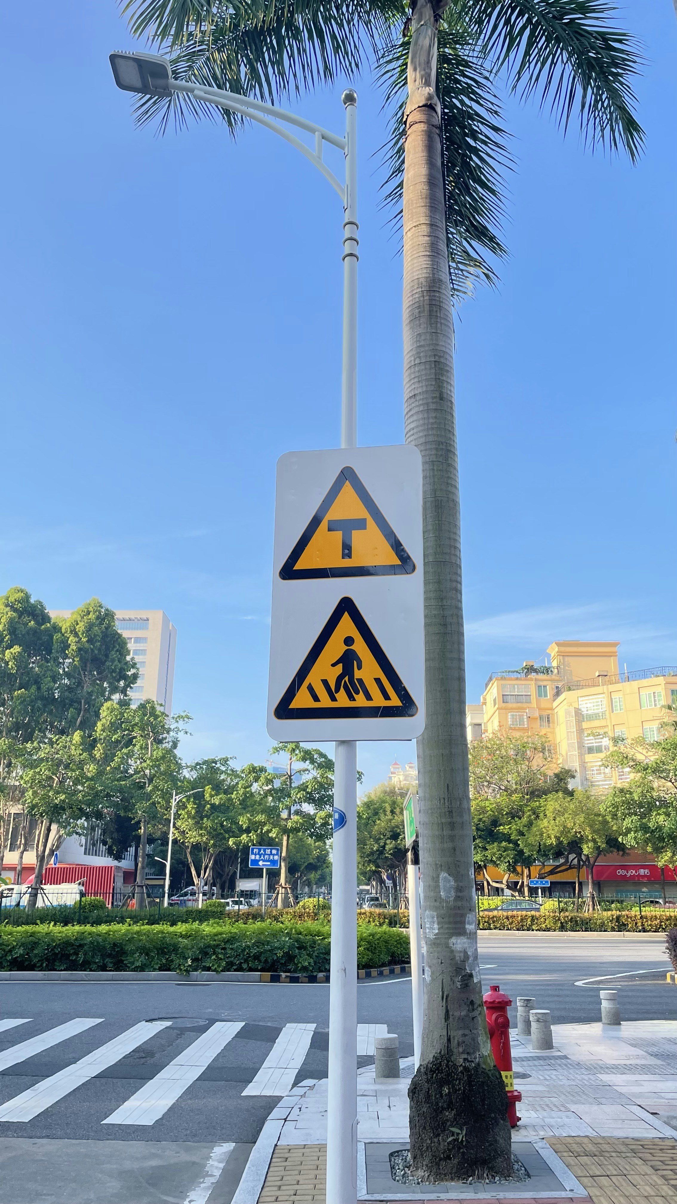 Photo by enzo20211205