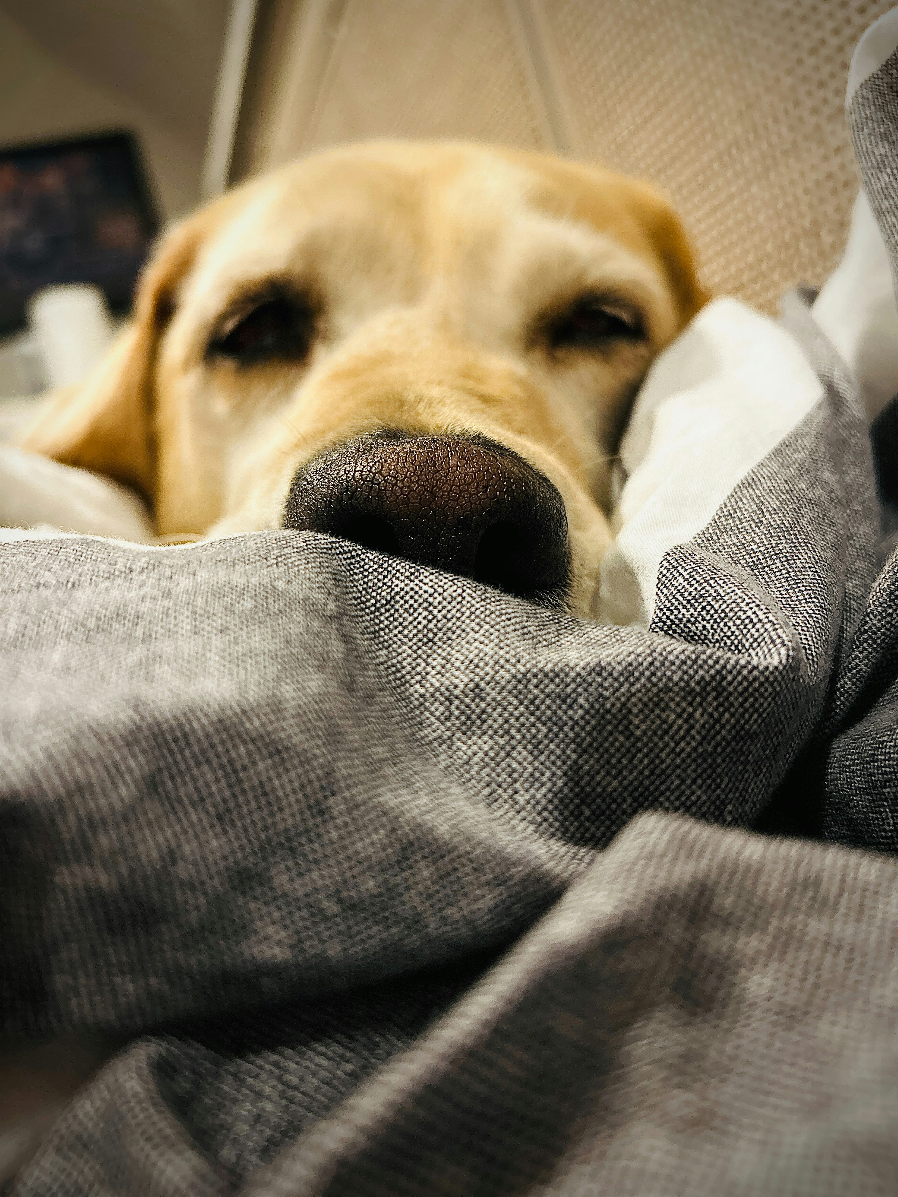 Photo by gibsoncrafton