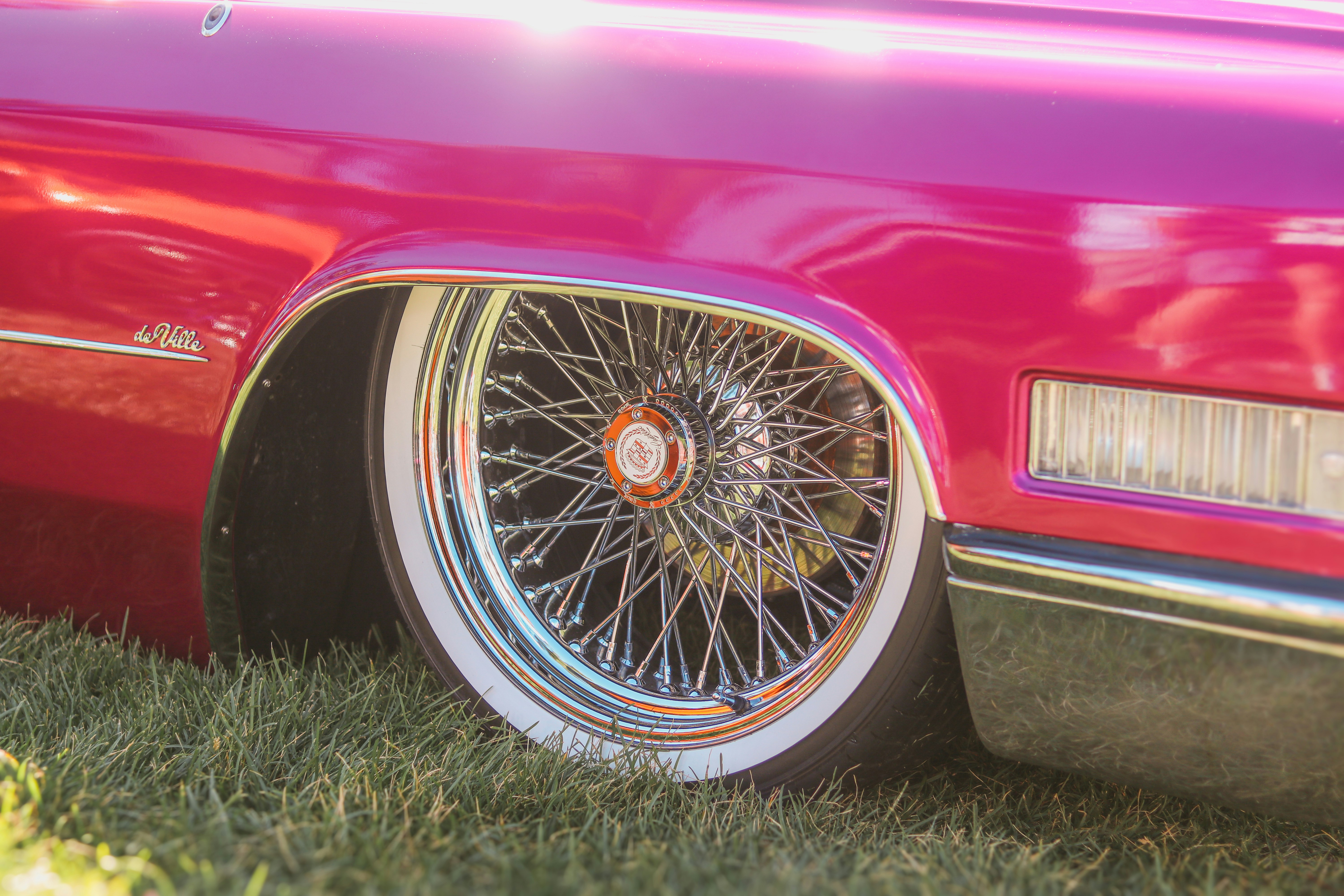 Photo by heberdavisphotography