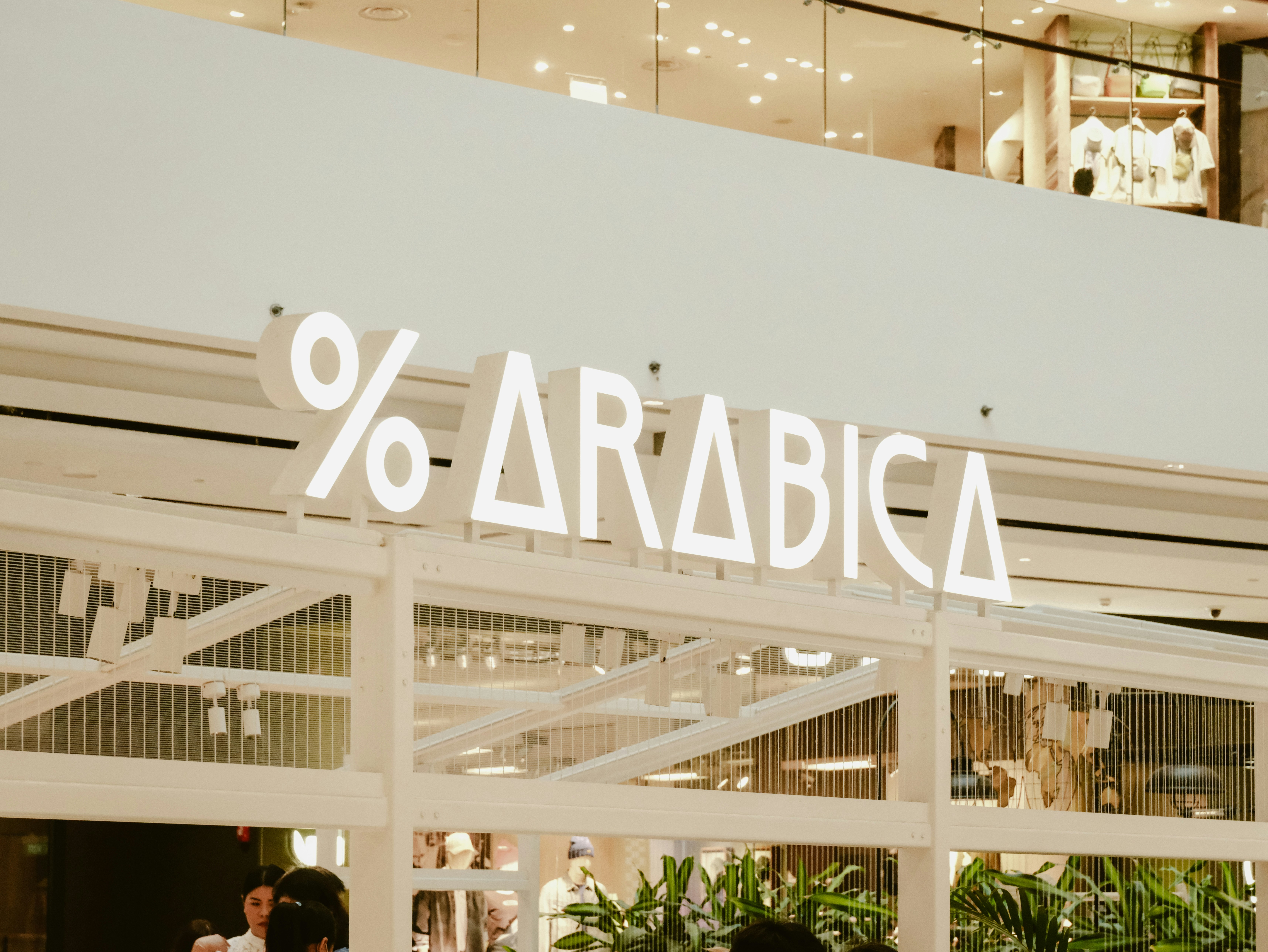 Arabica Coffee