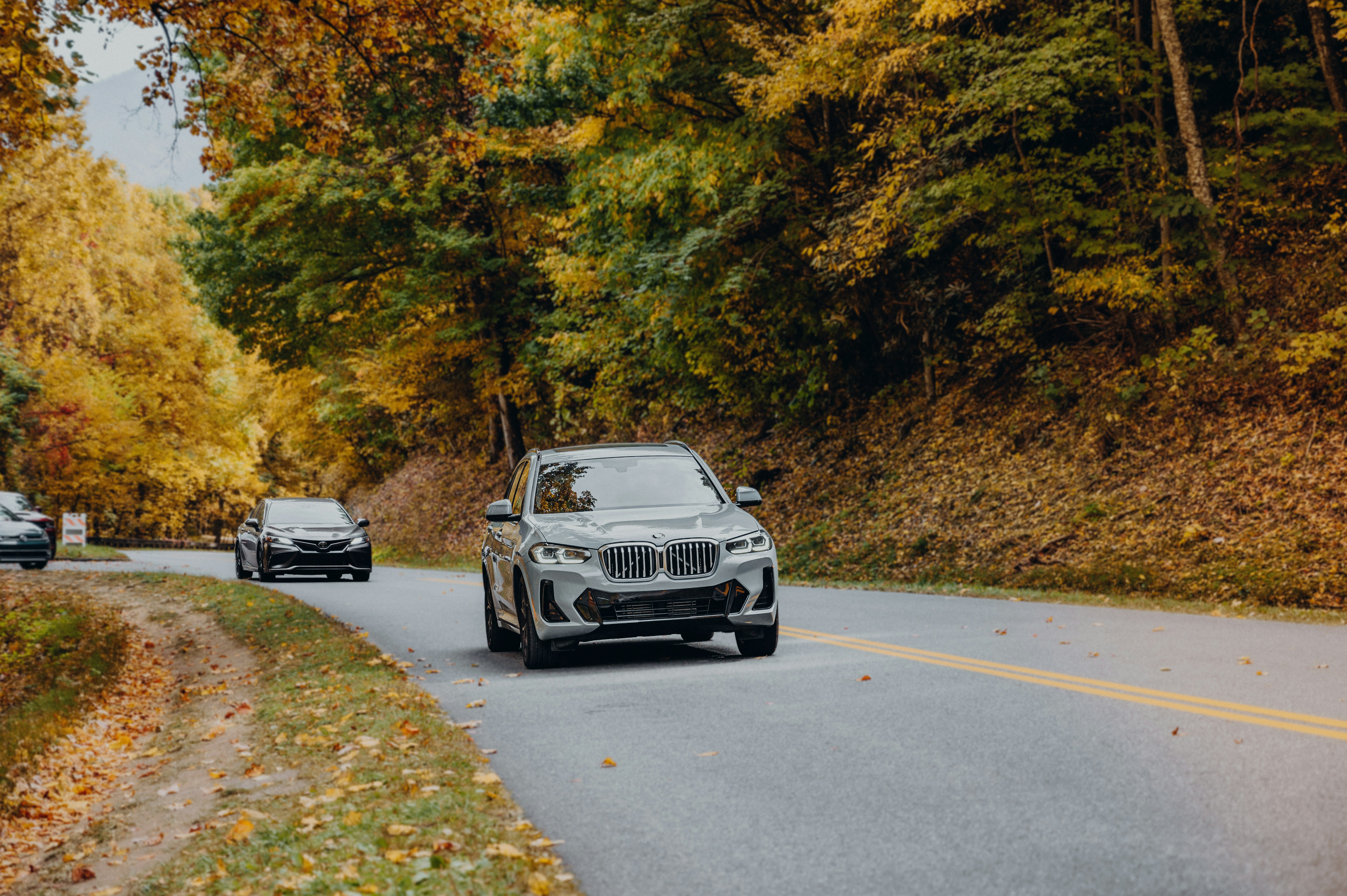 A car driving down a road next to a forest