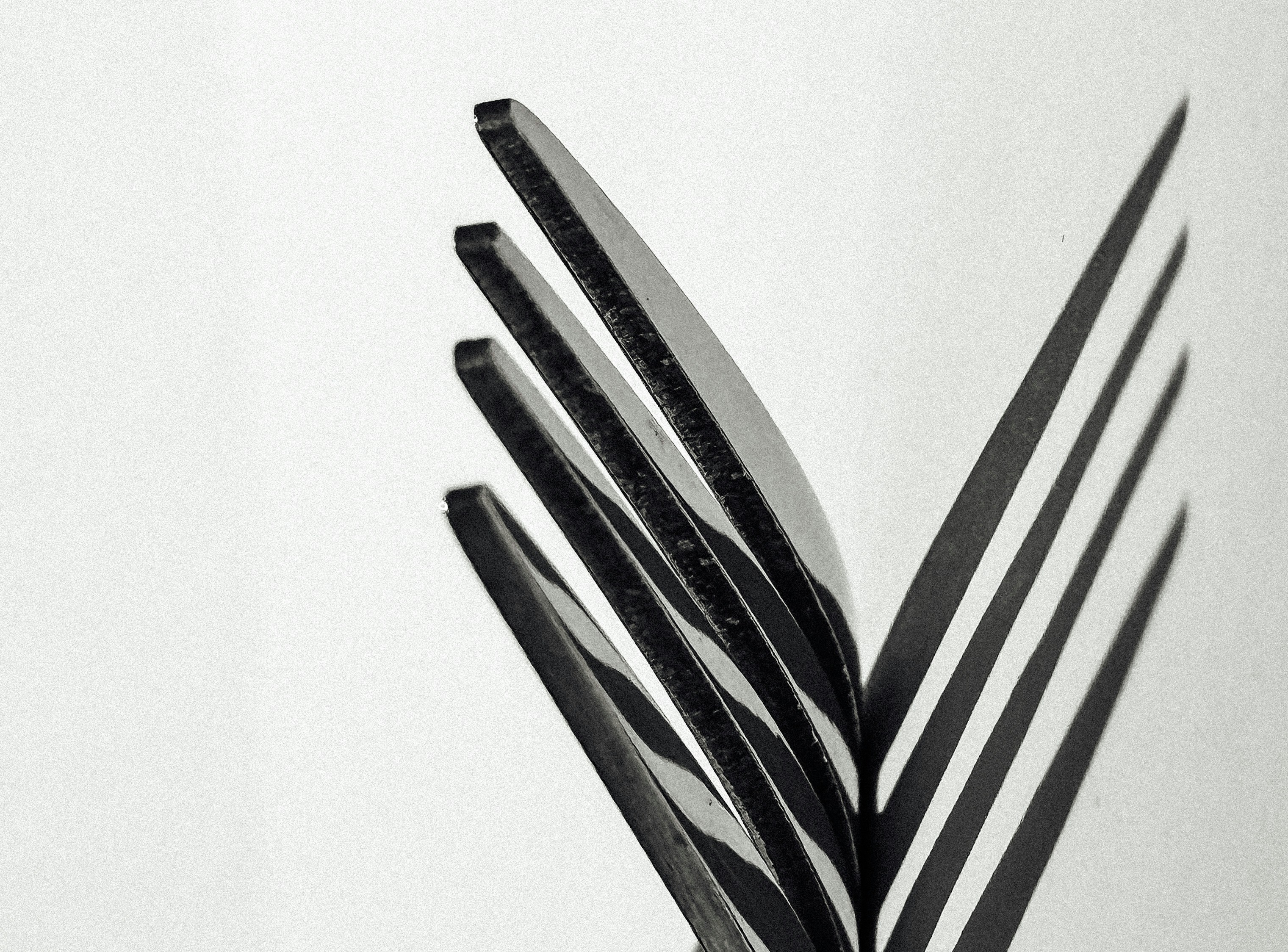 Photo by zvada_photo