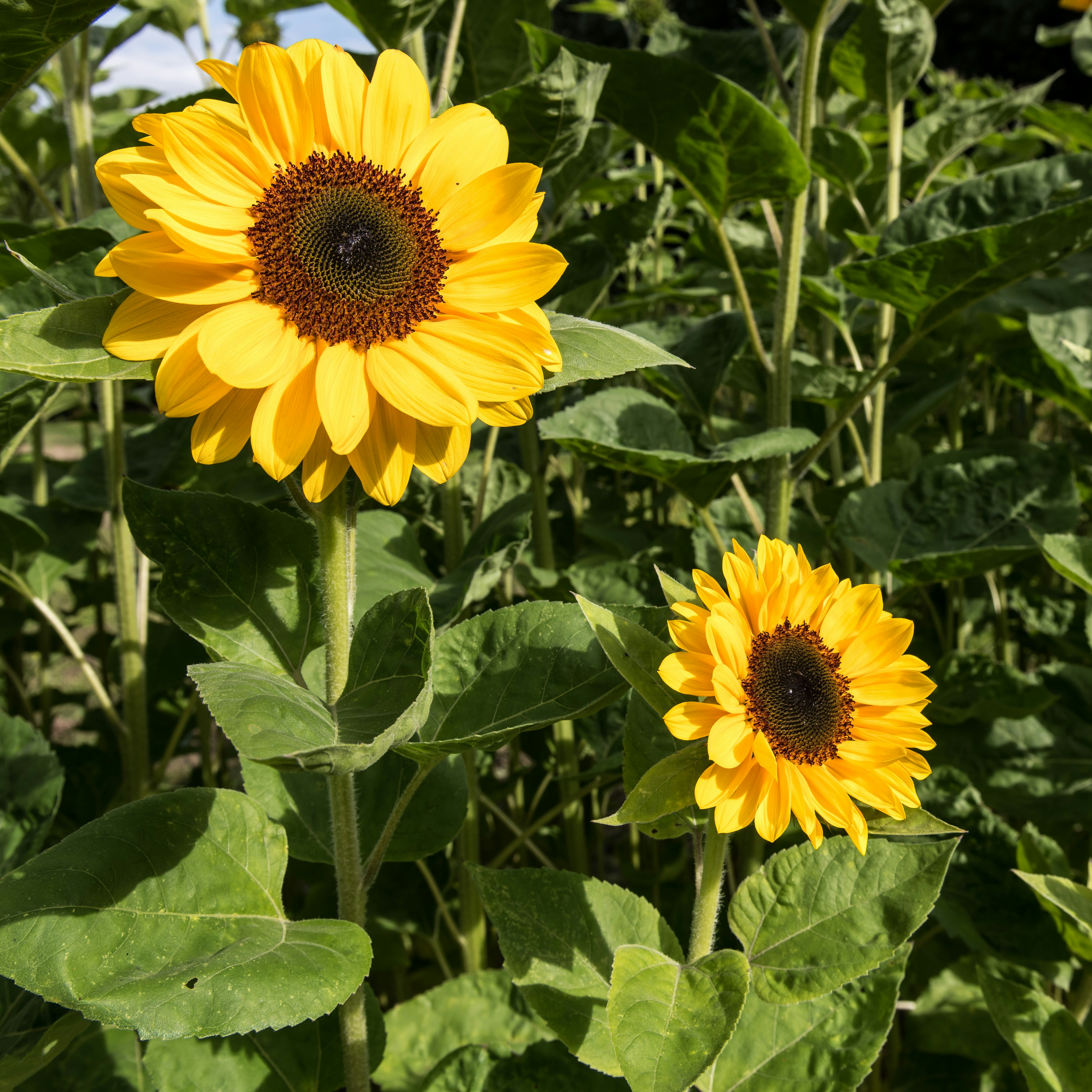 Photo by hamburgmeinefreundin