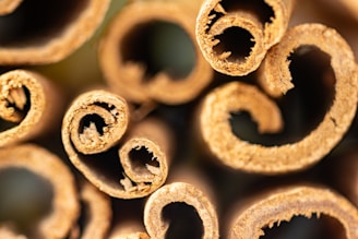 A close up of a bunch of cinnamon sticks