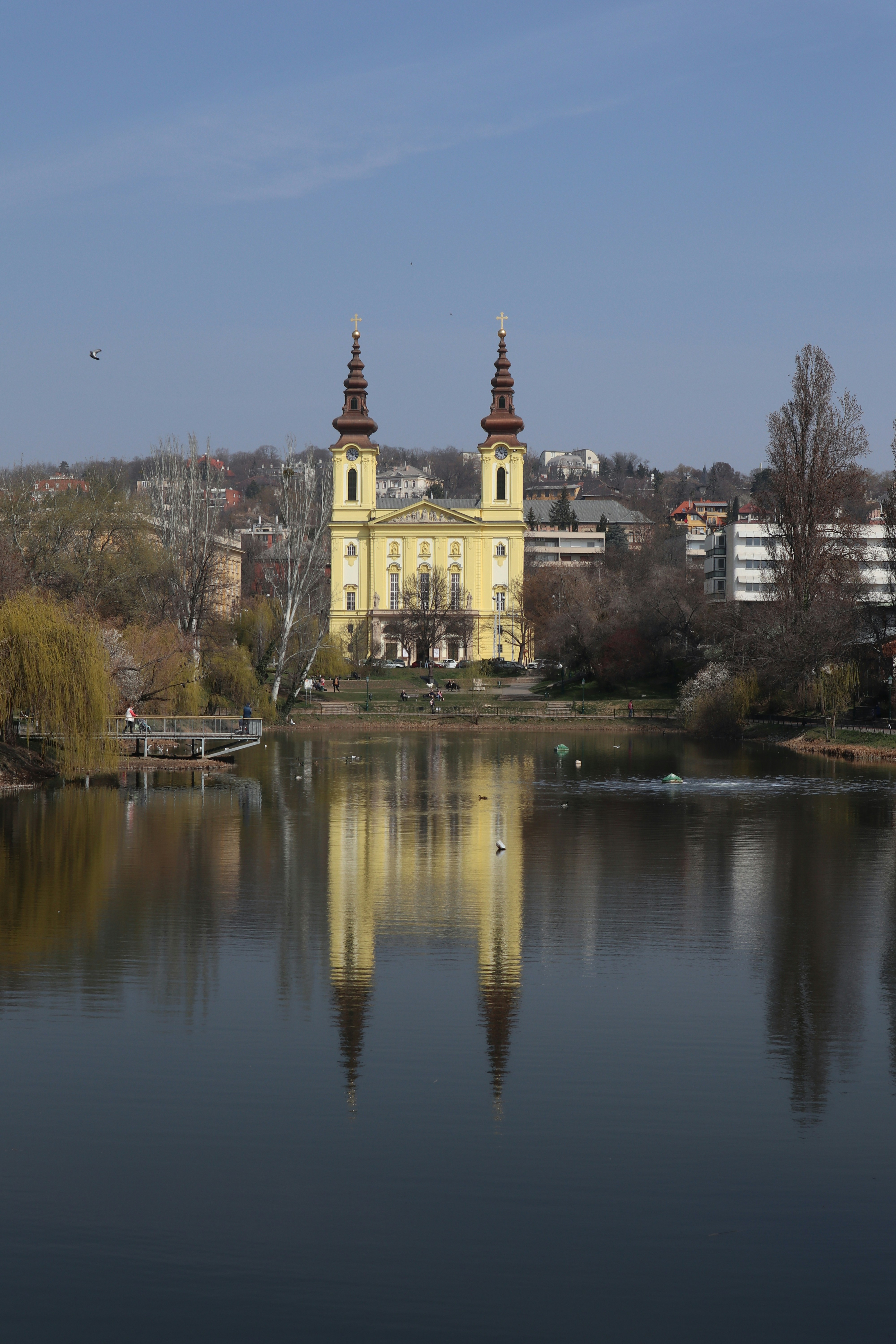 Photo by balint_miko