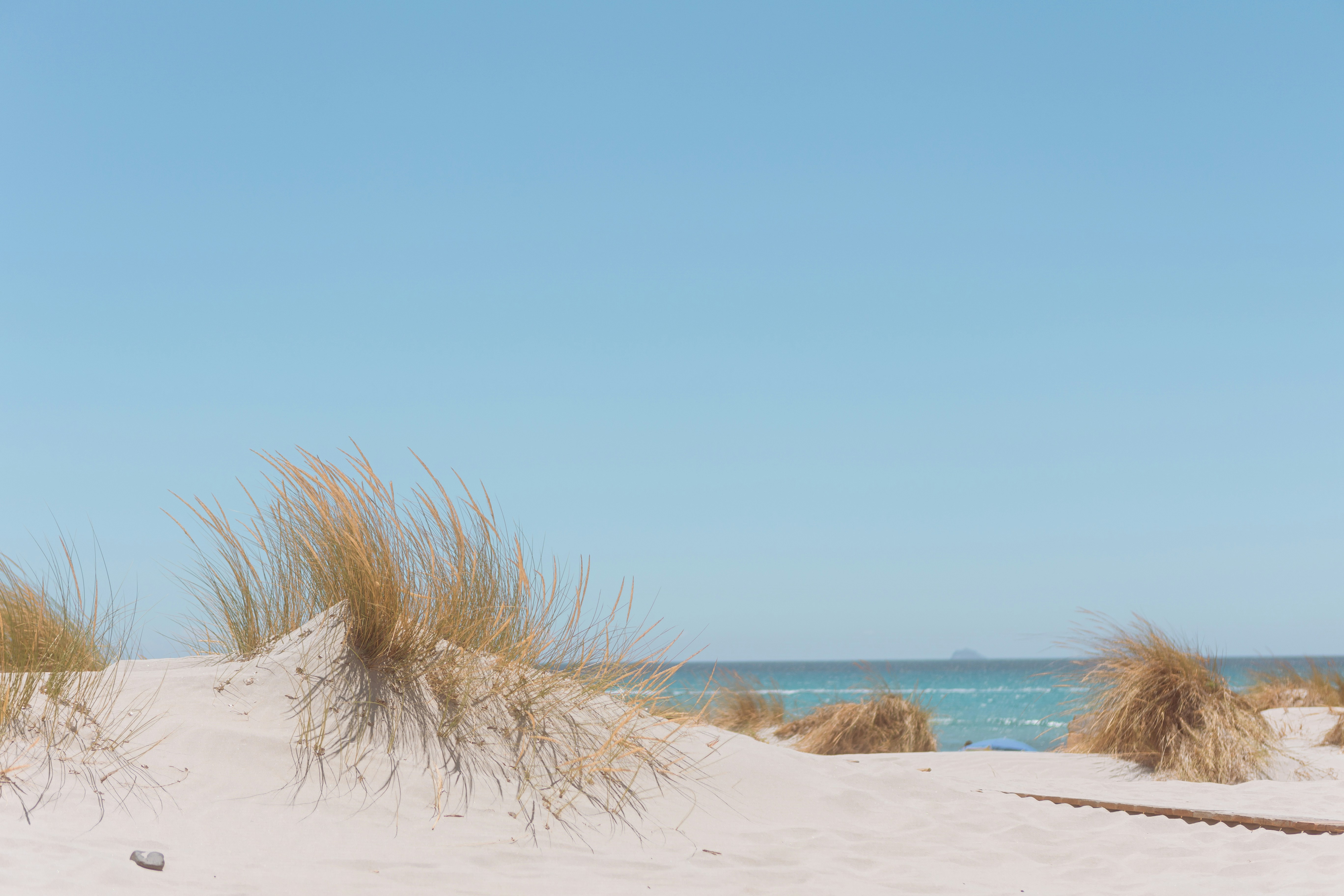 Photo by alex_gruber