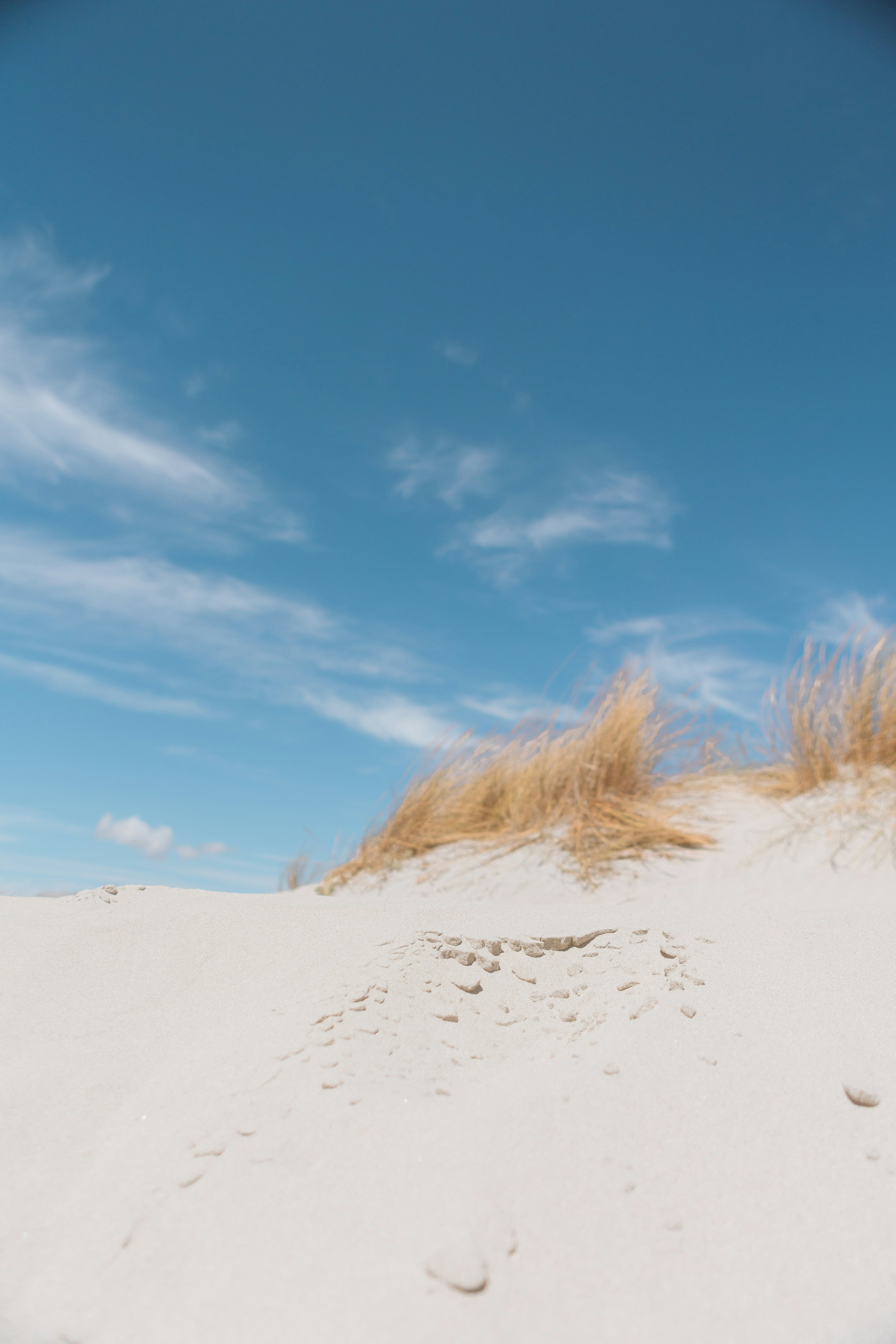 Photo by alex_gruber