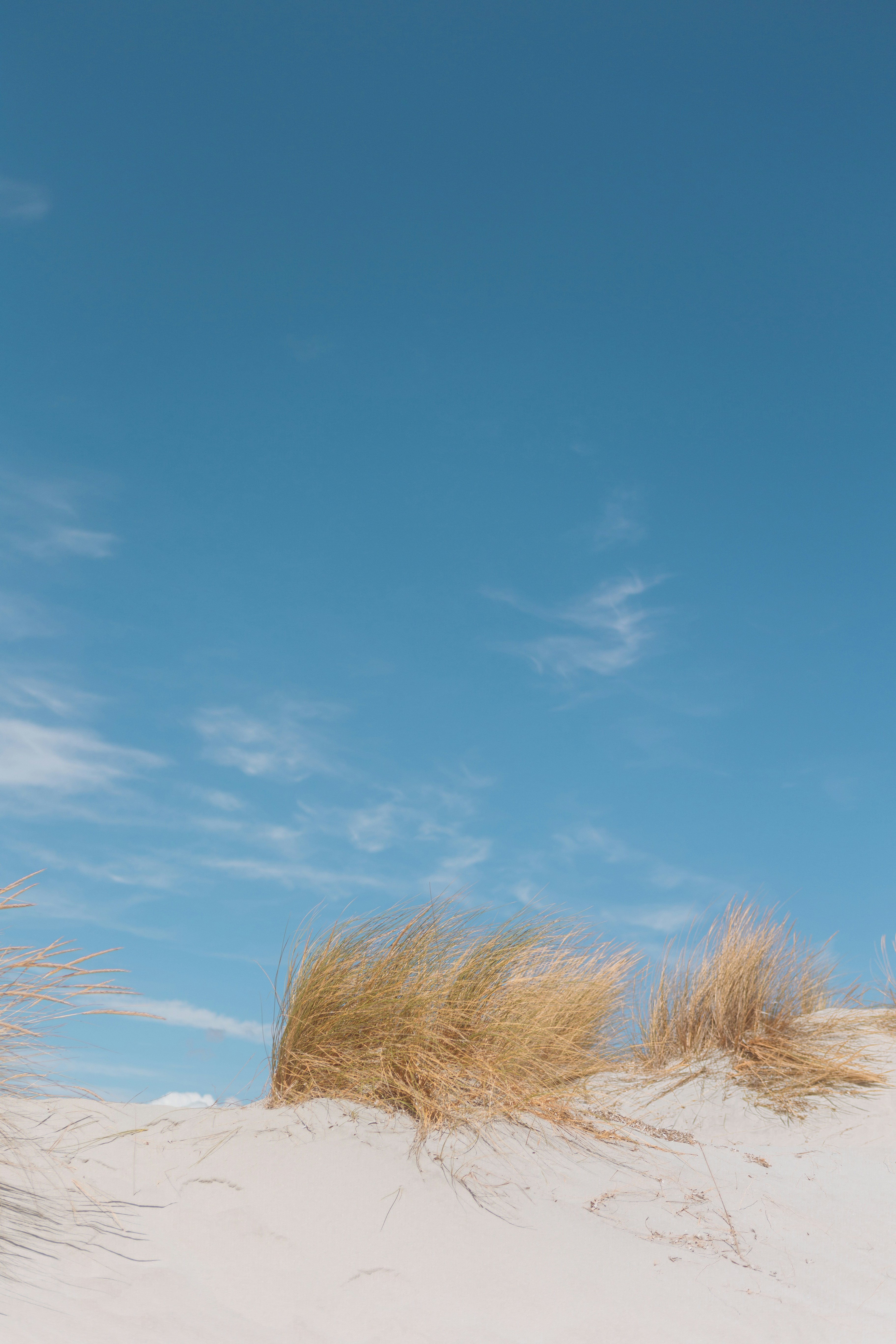 Photo by alex_gruber