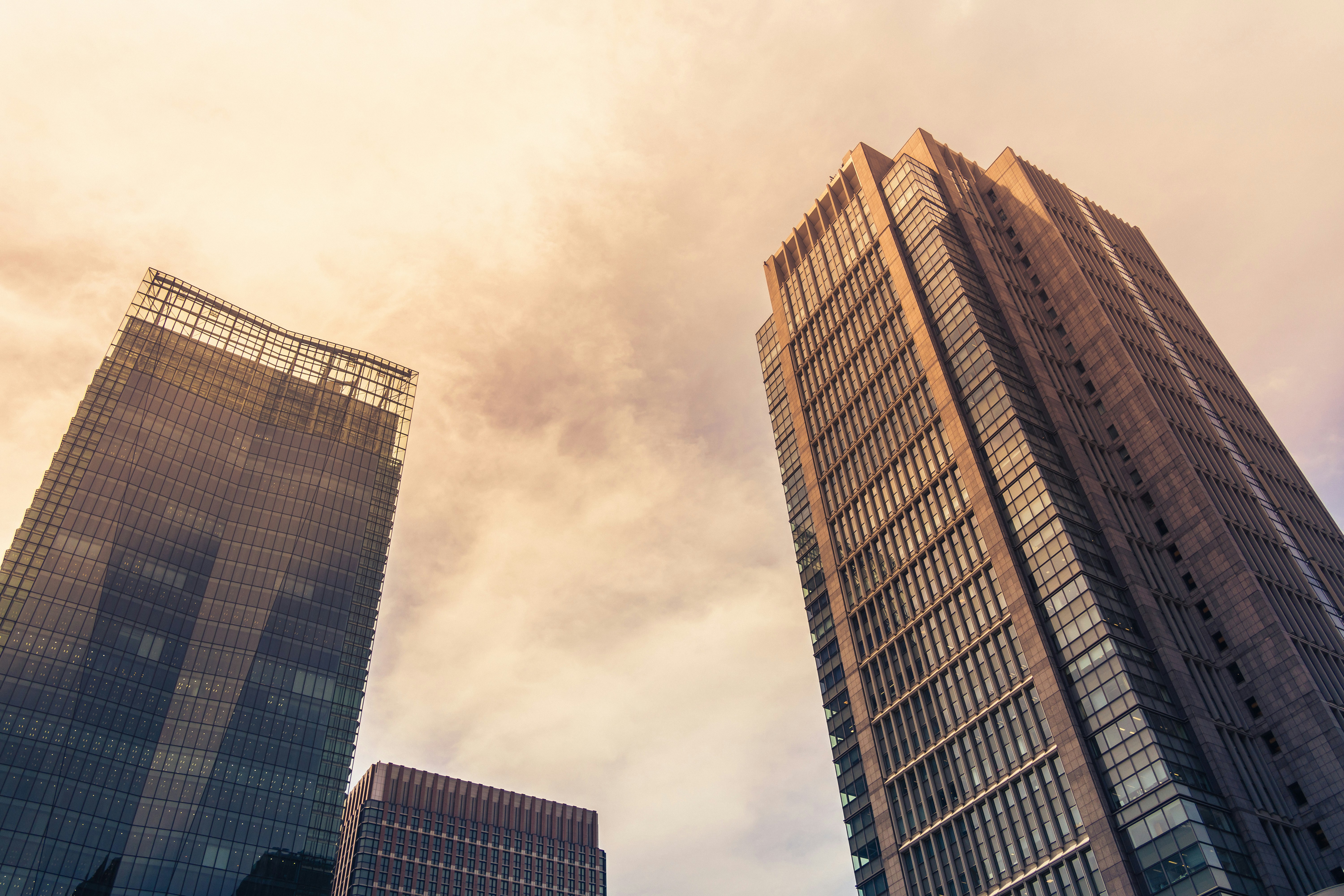 위기임신 지원 및 보호출산제 도입 배경