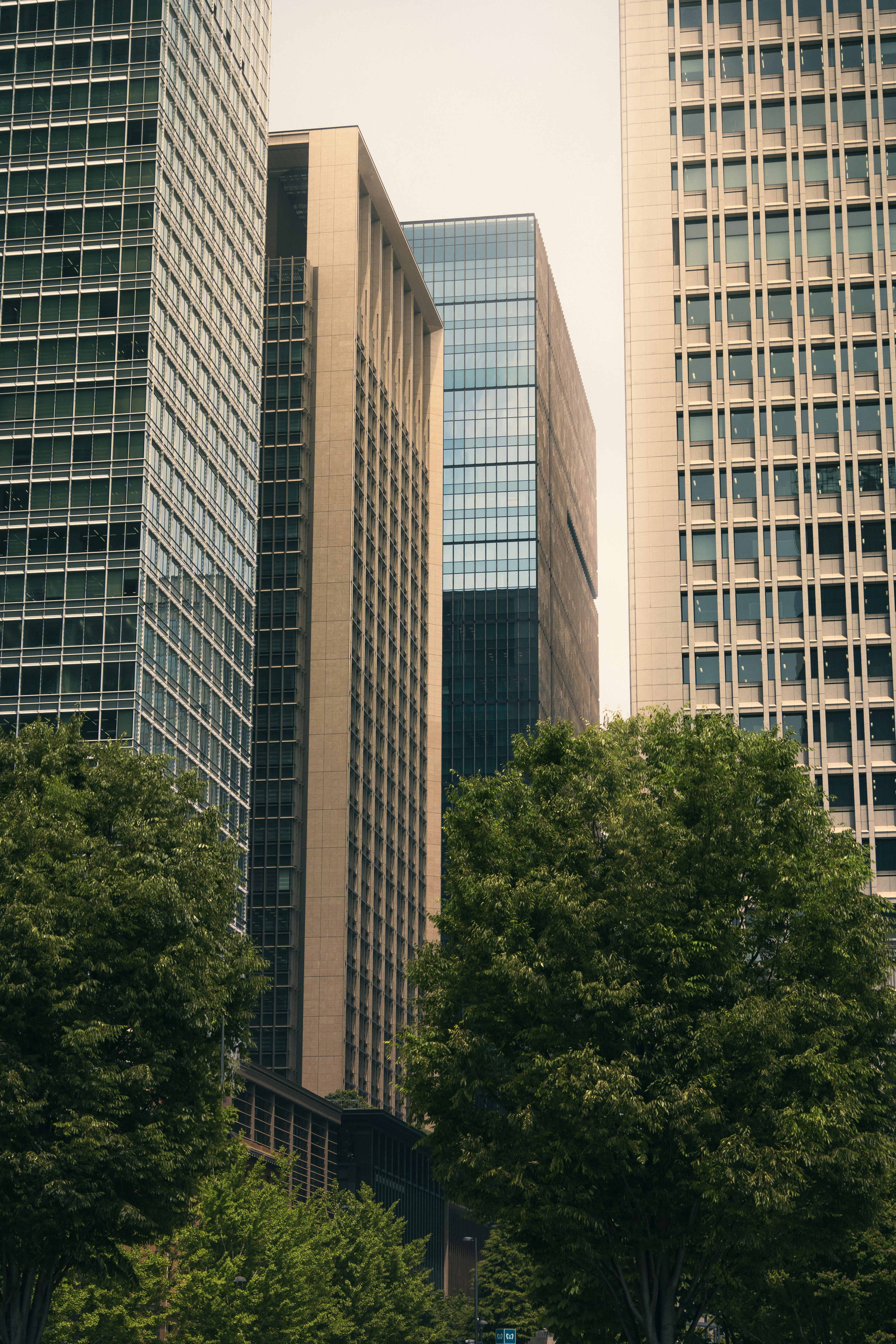 Photo by pino_rumbero