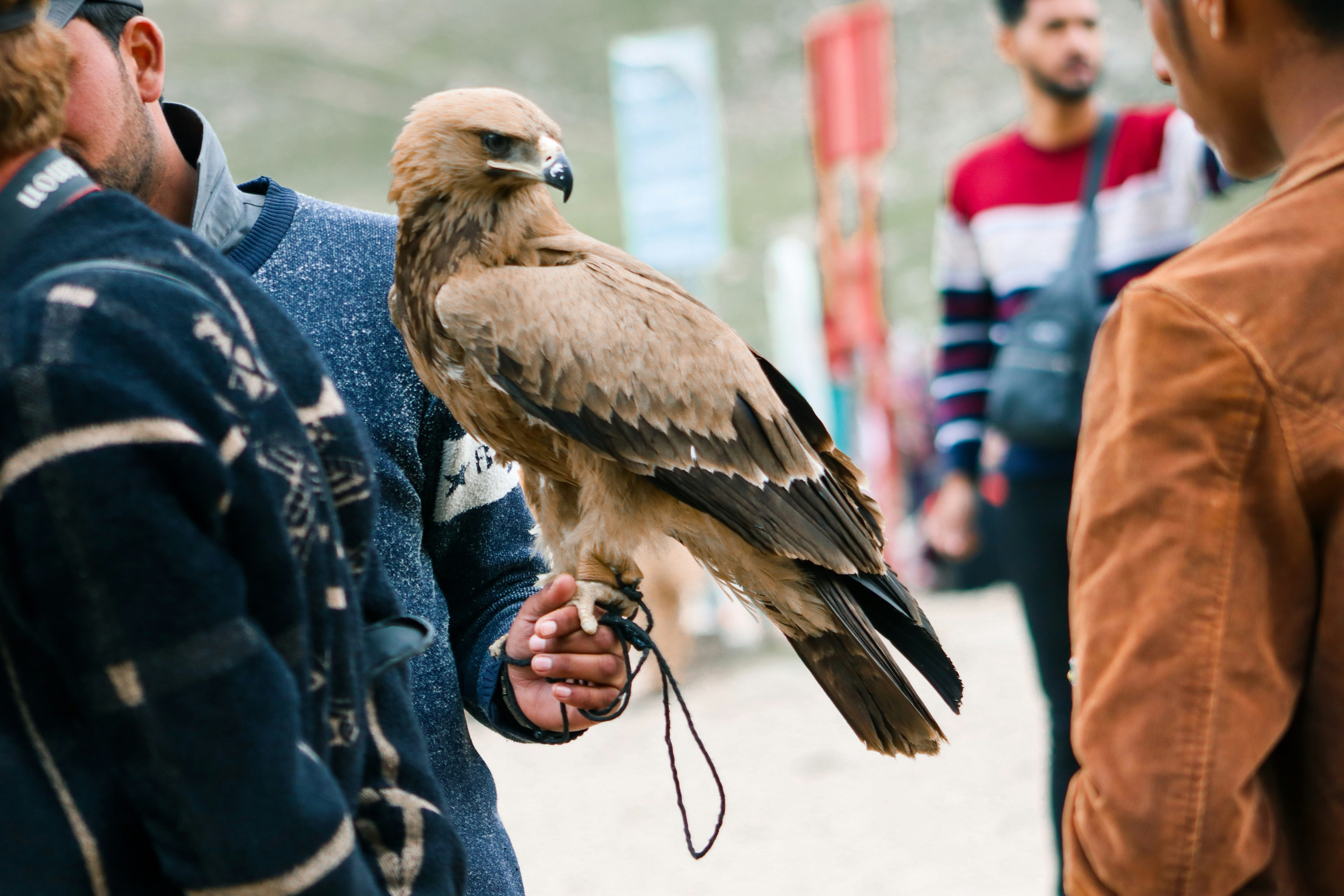 Photo by drphotographer152