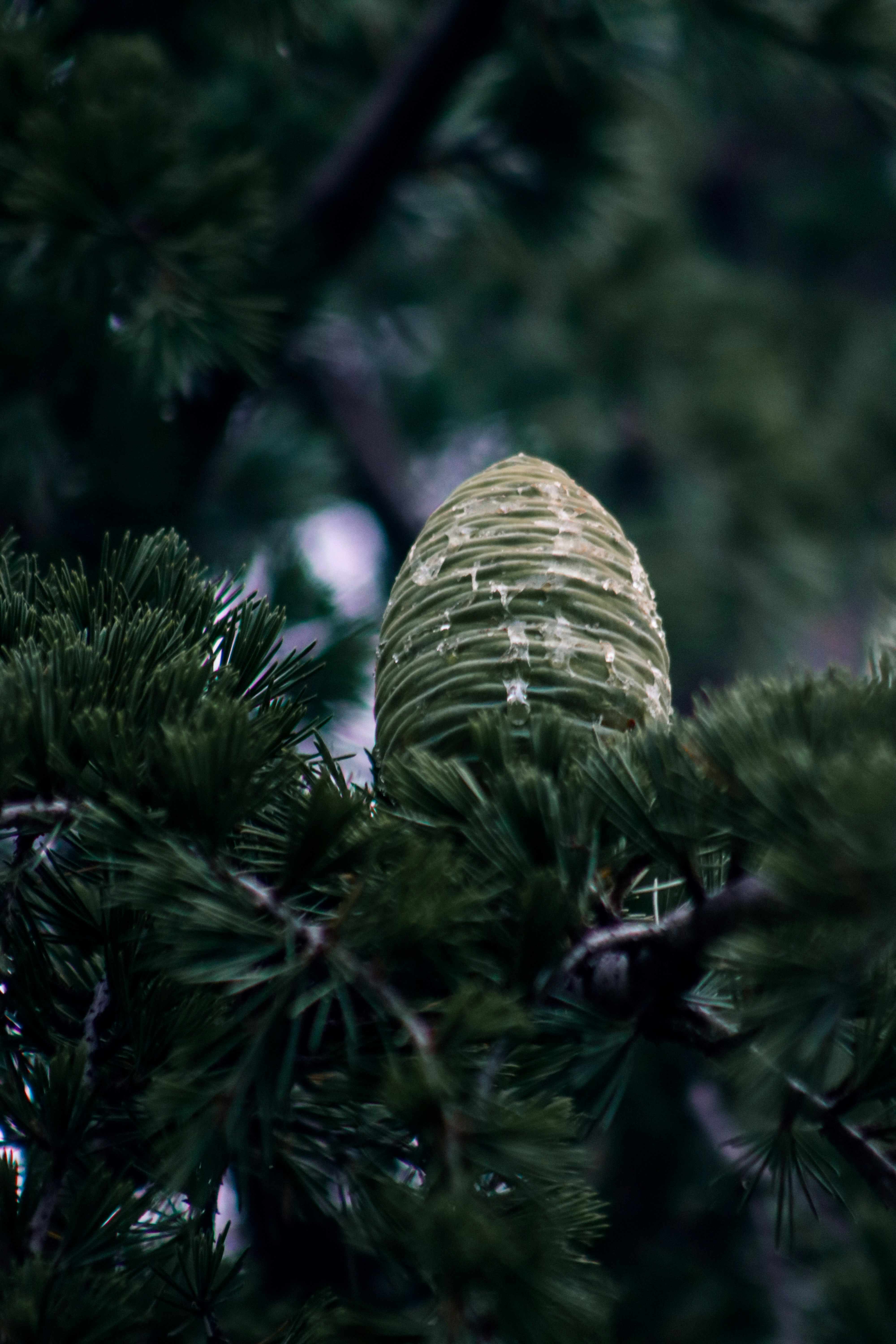 Photo by drphotographer152