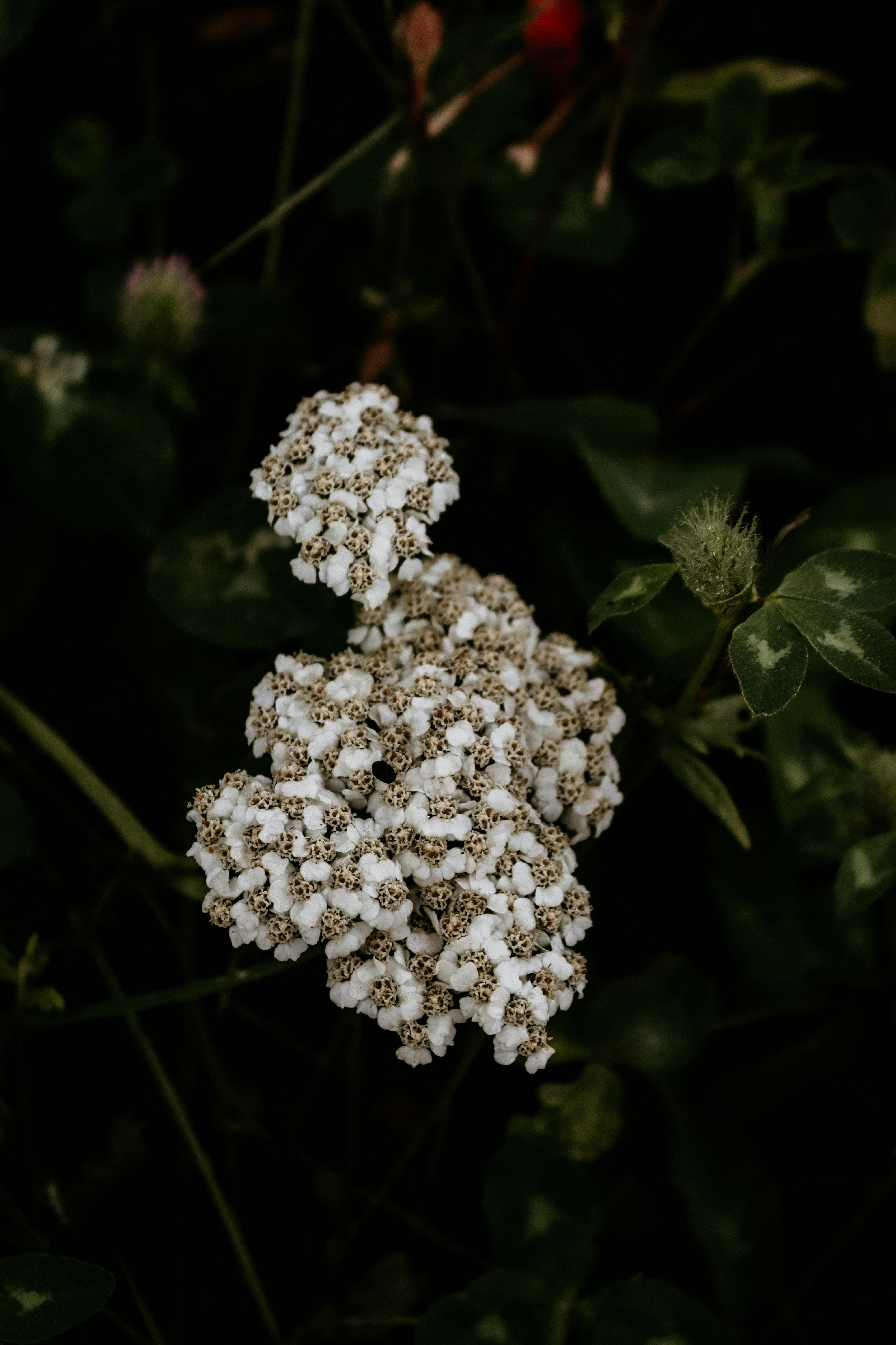 Photo by drphotographer152