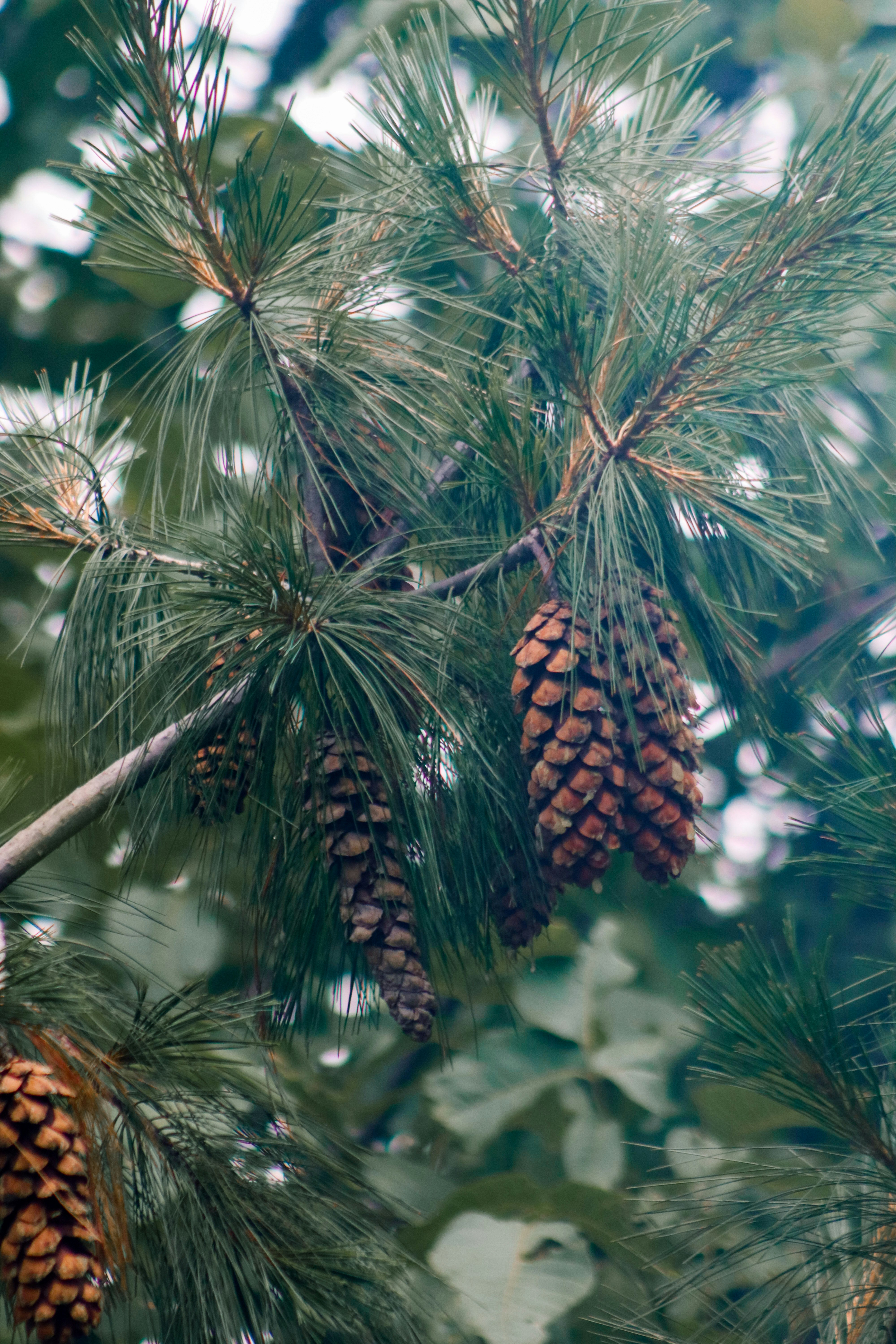 Photo by drphotographer152