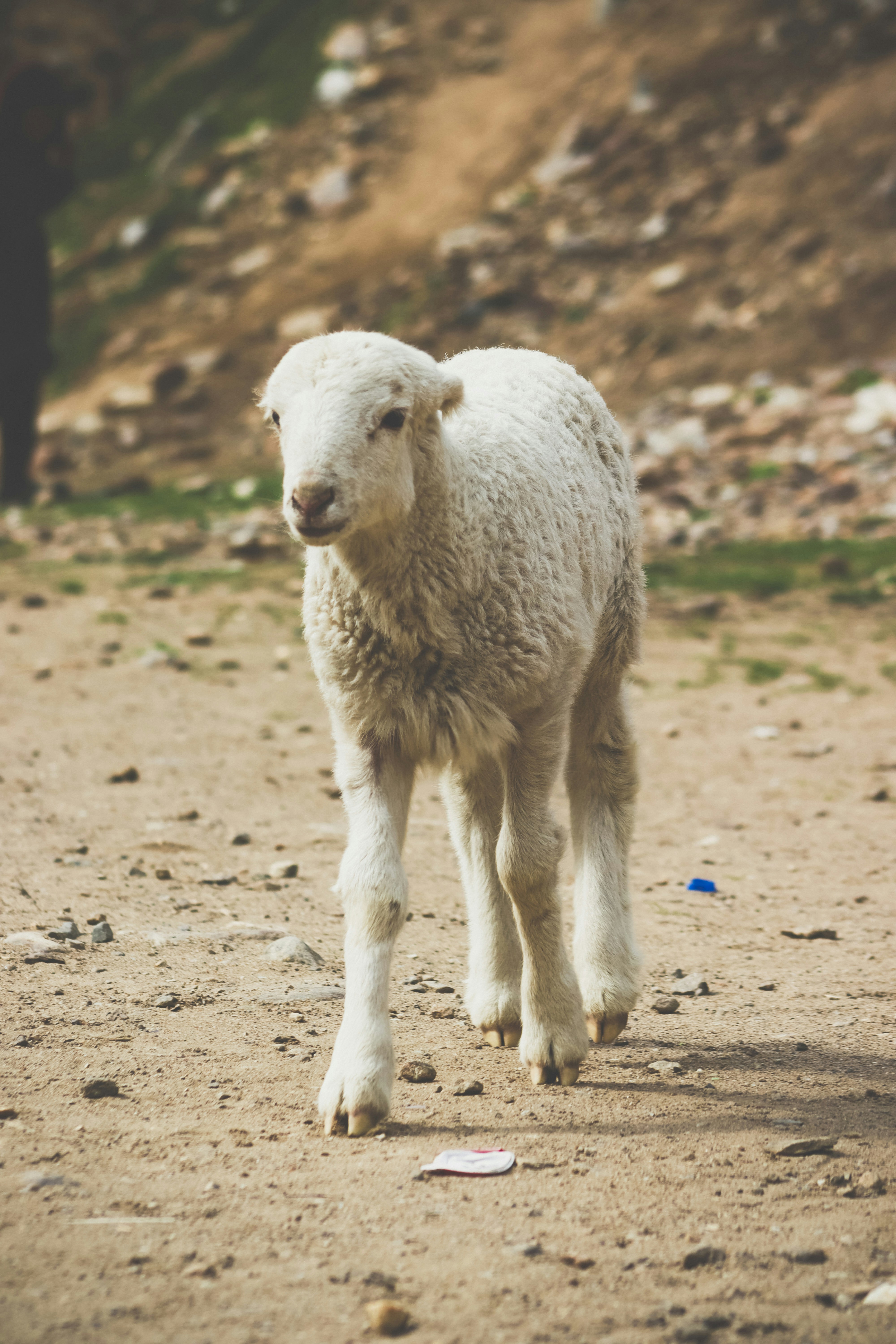 Photo by drphotographer152