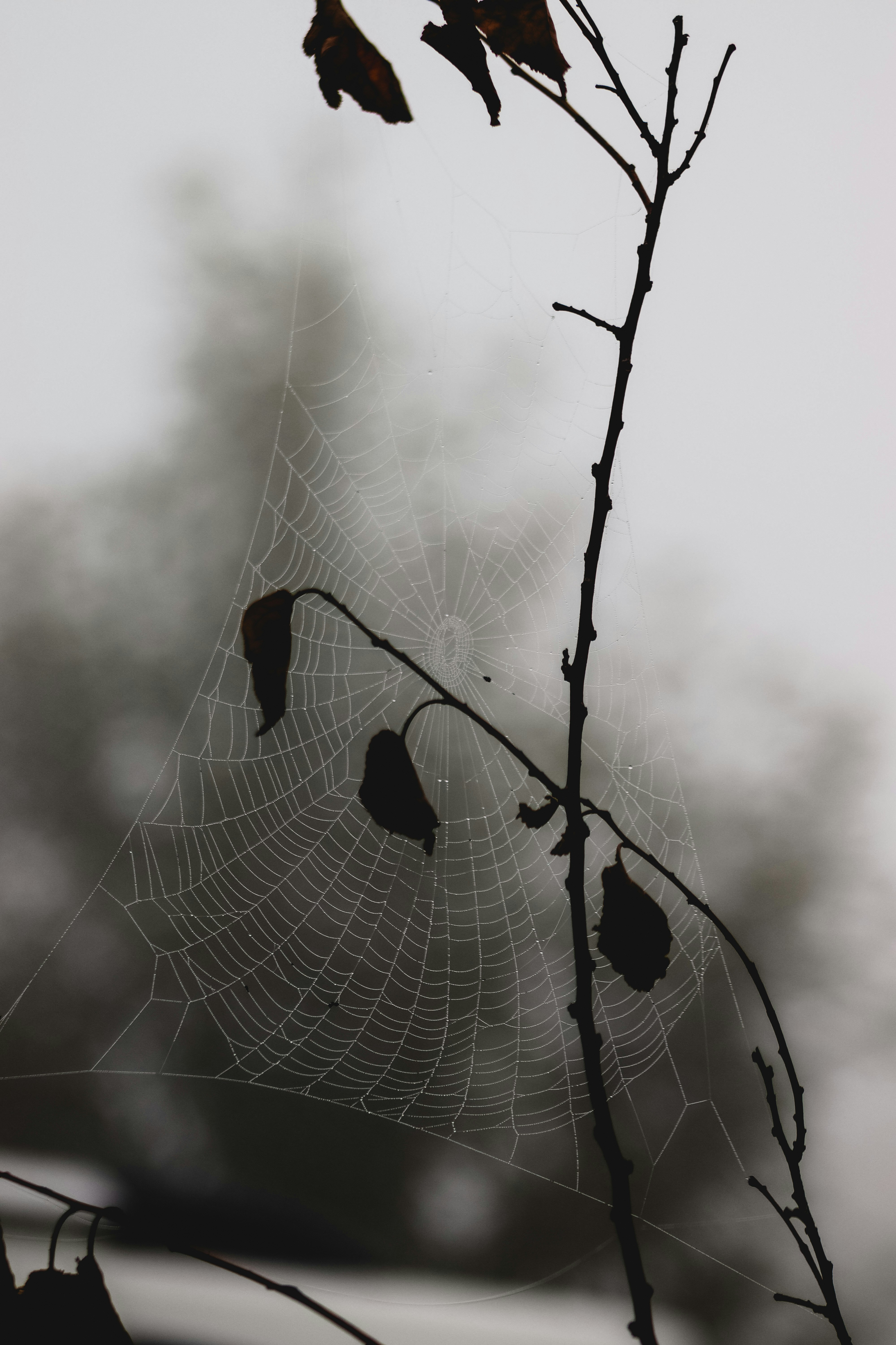 Photo by drphotographer152