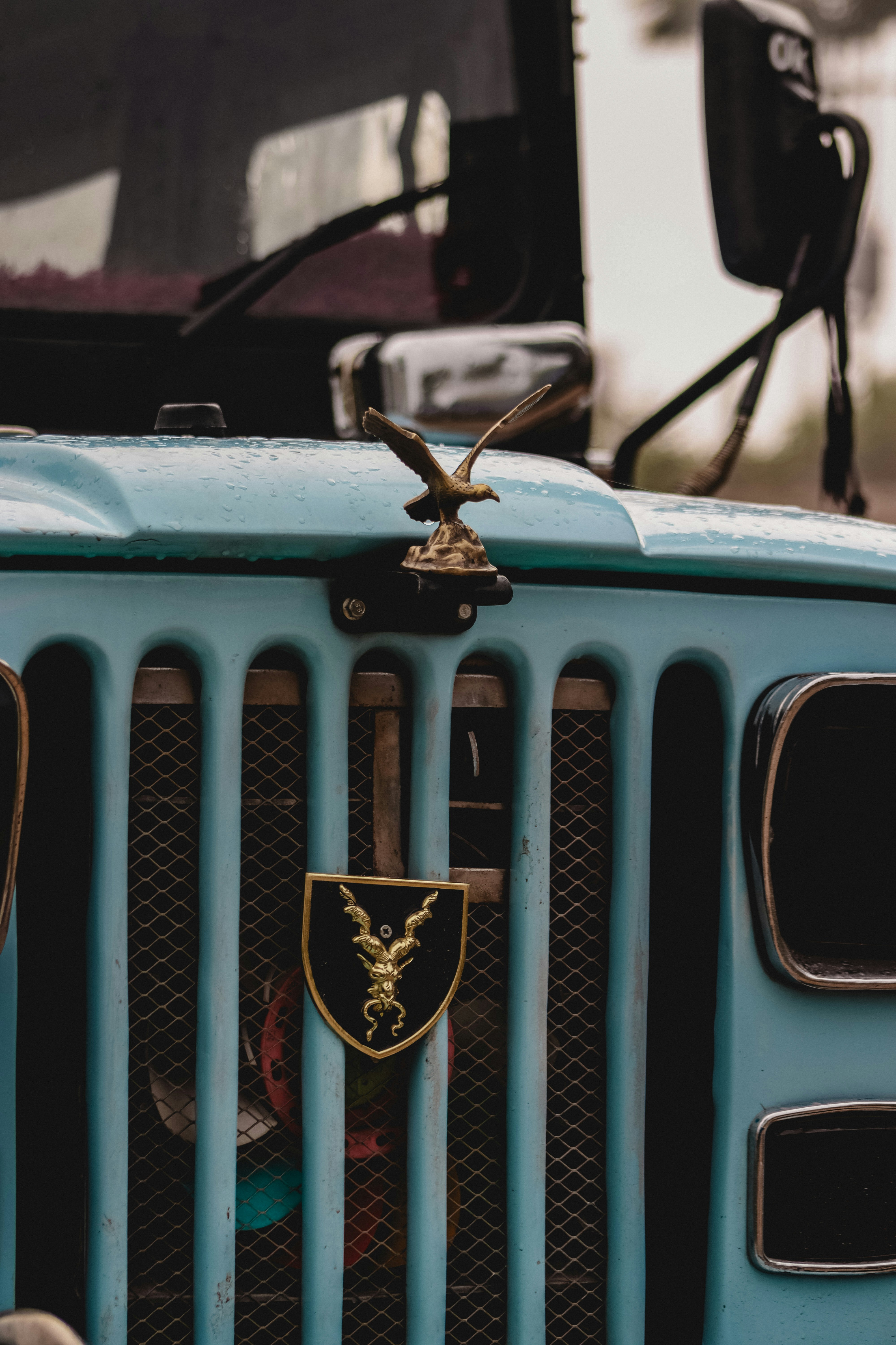 Photo by drphotographer152