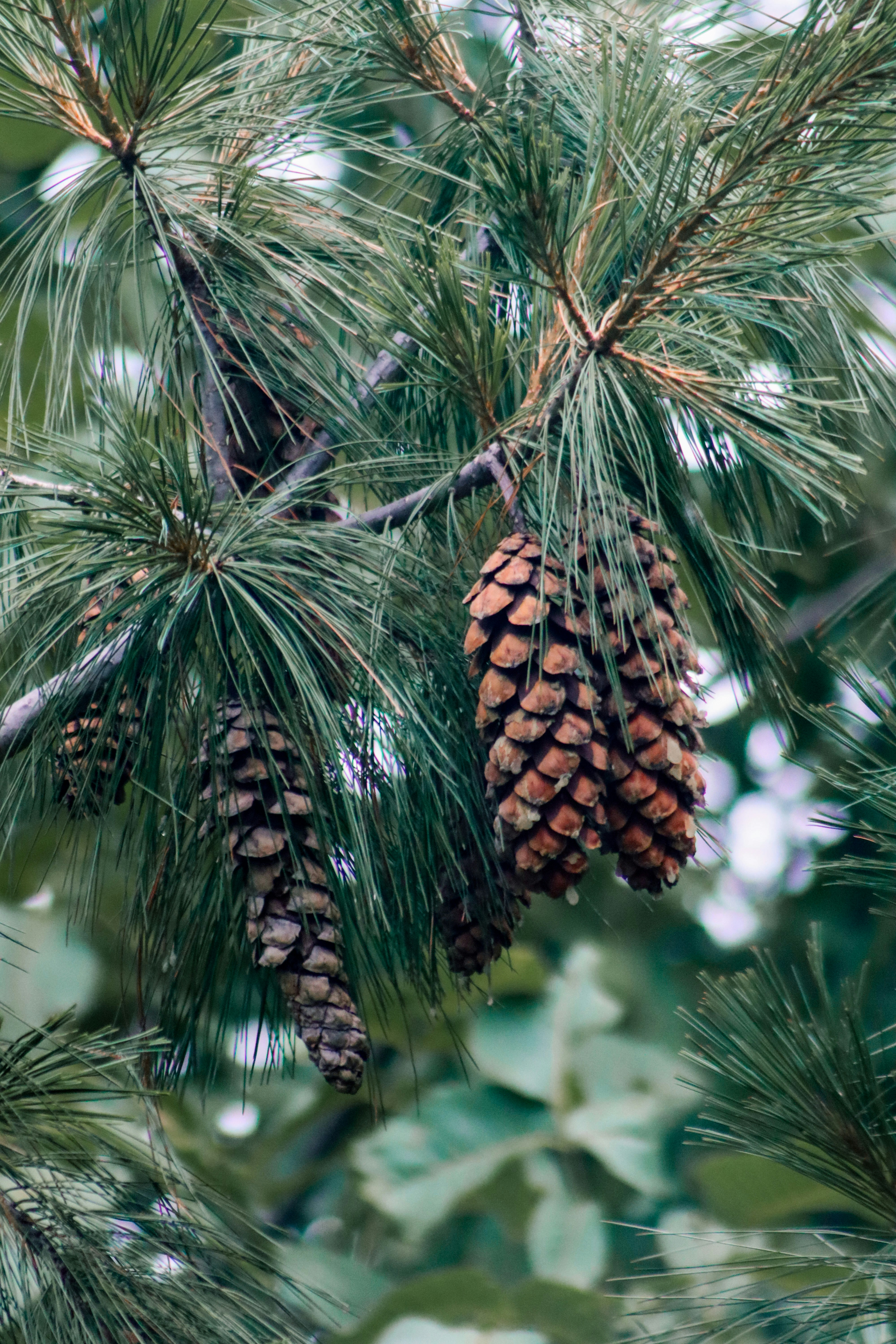 Photo by drphotographer152