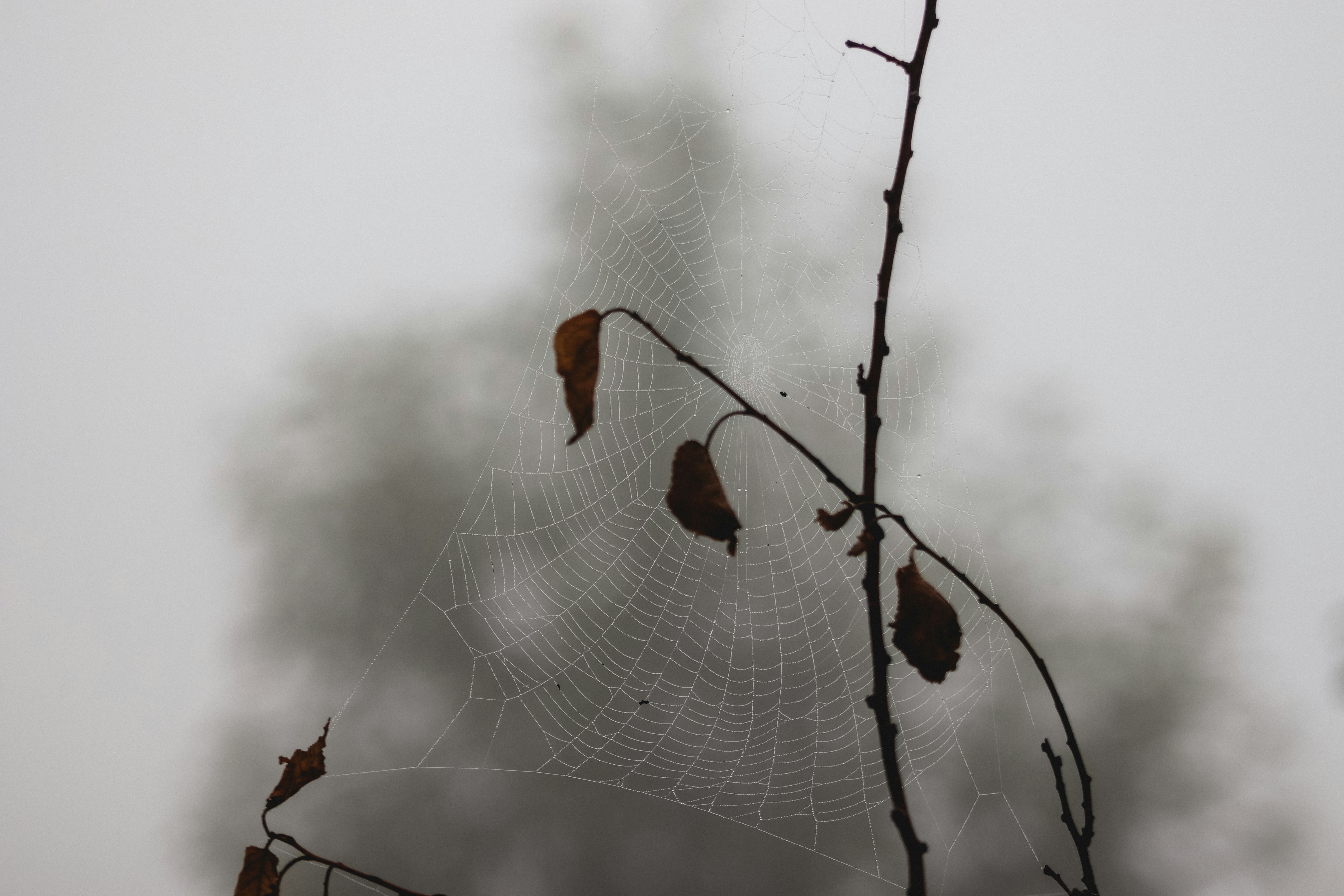 Photo by drphotographer152