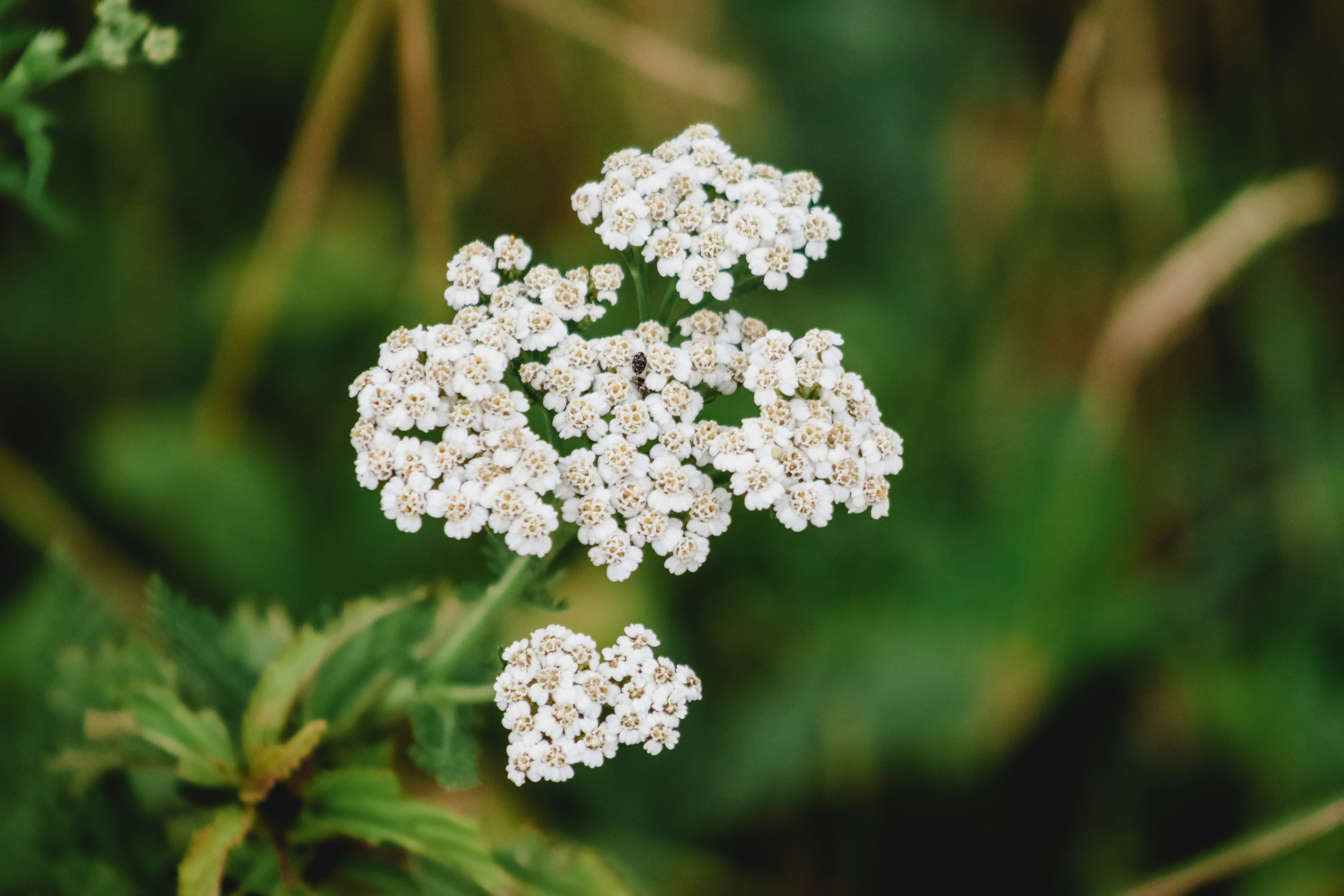 Photo by drphotographer152