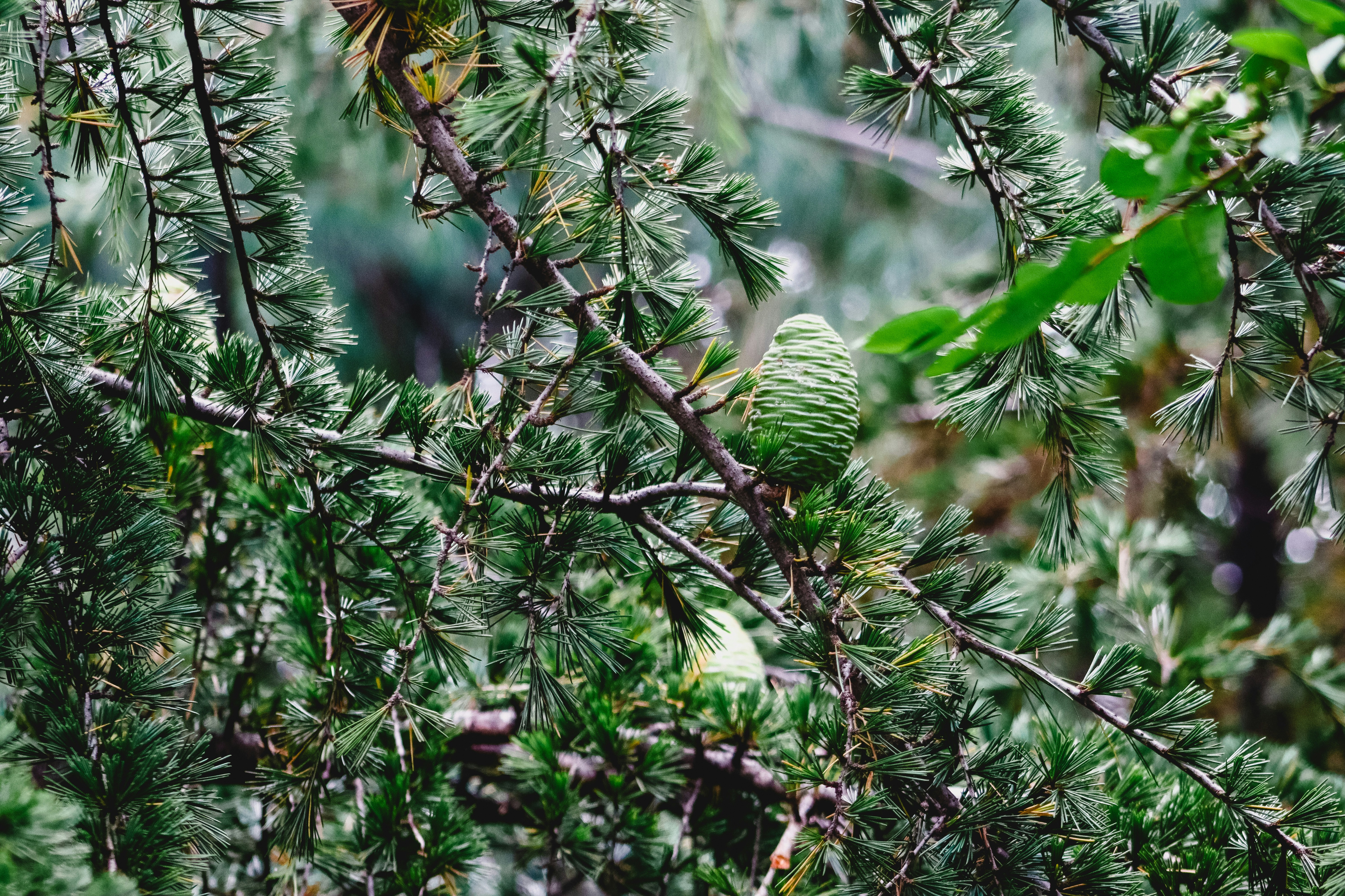 Photo by drphotographer152