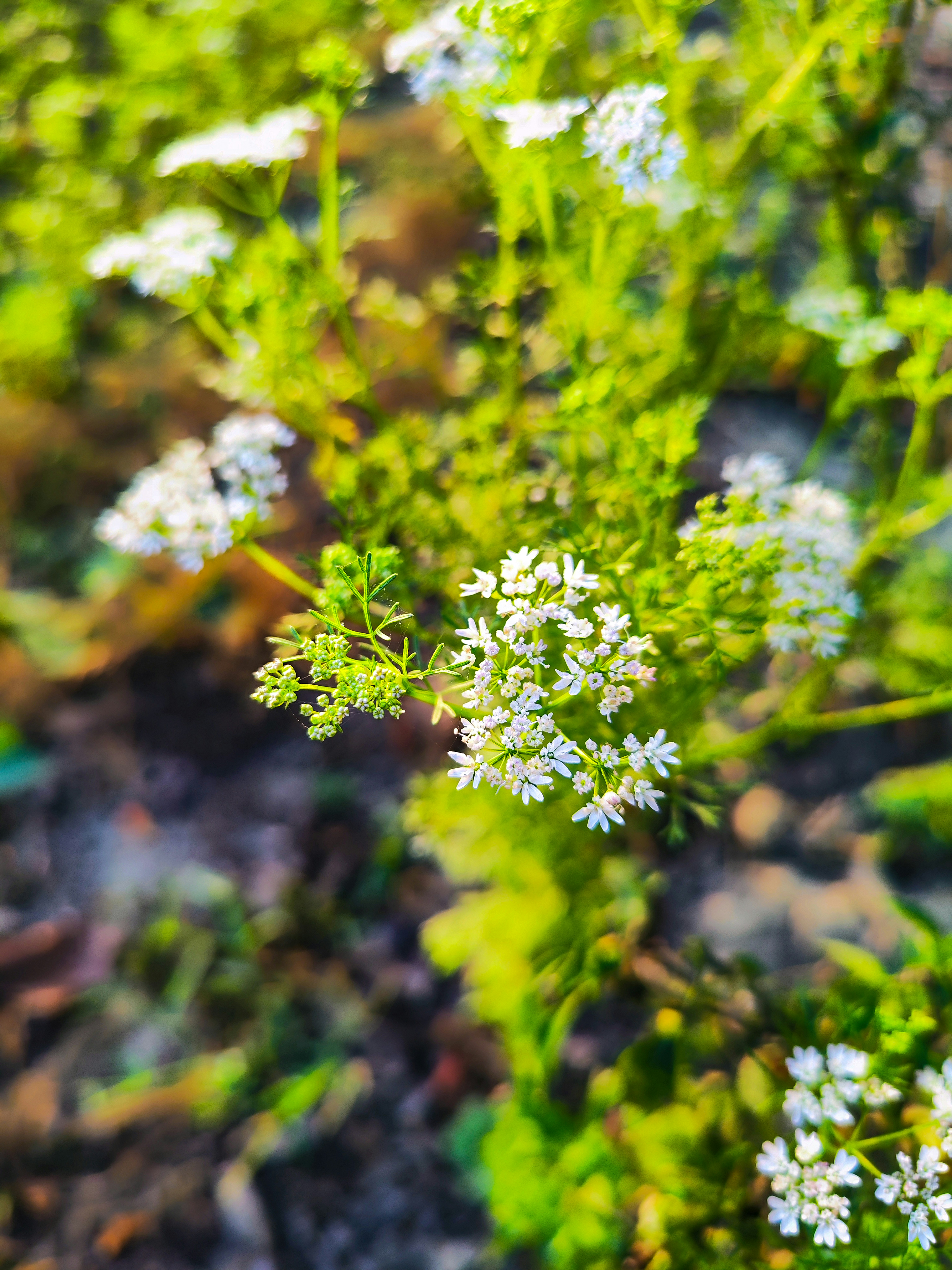 Photo by aks_by_aamir