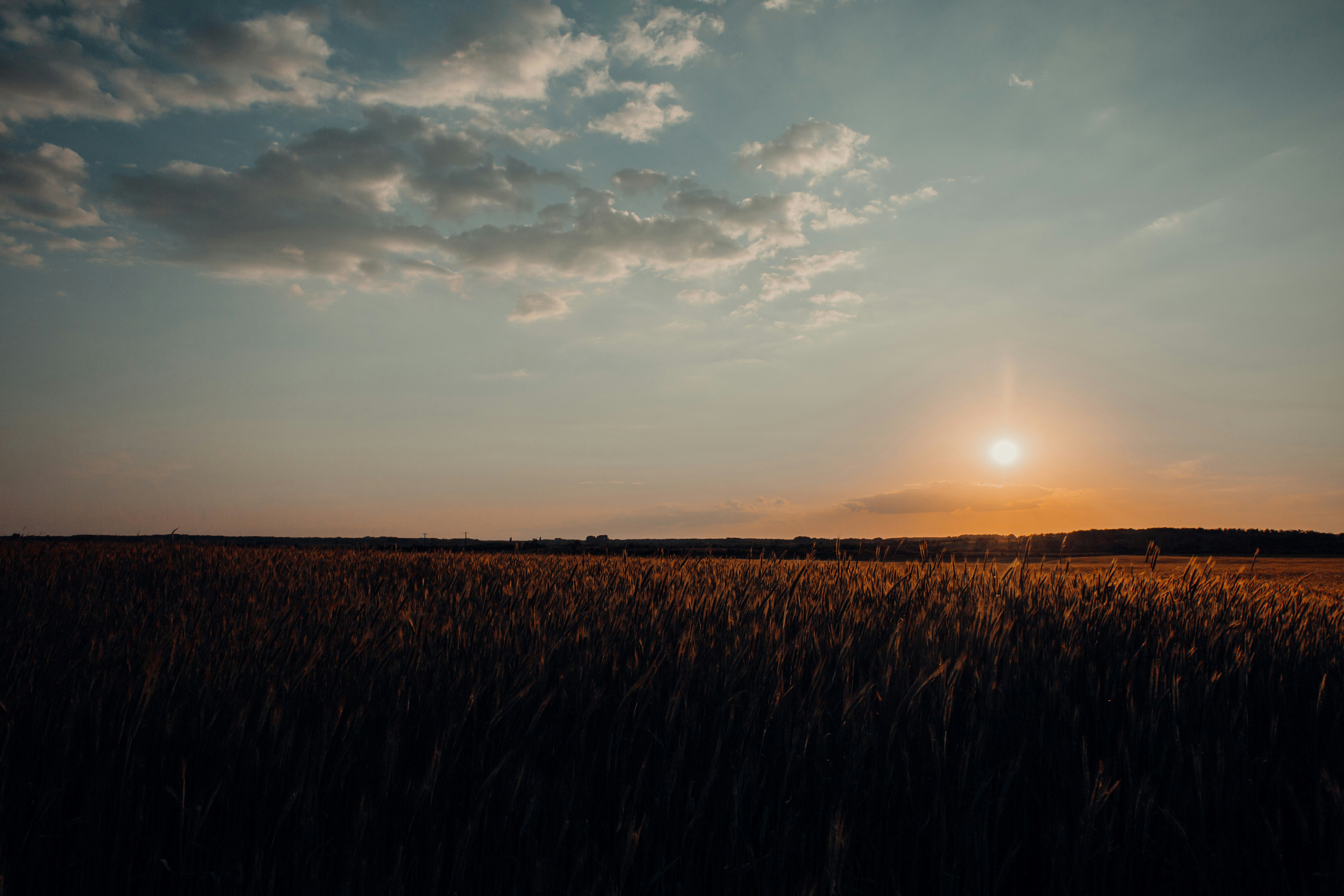 Photo by sylvester_s