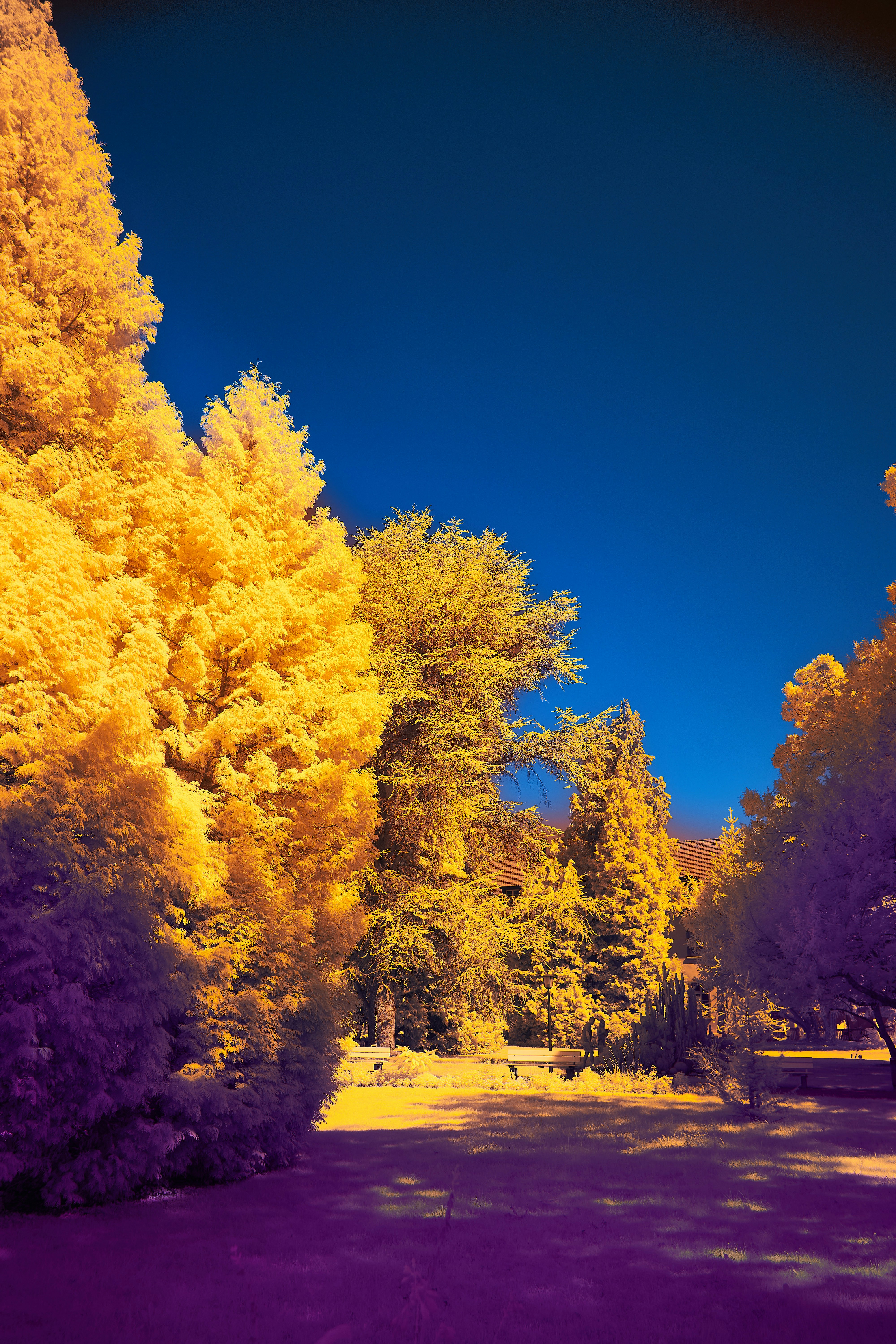 Photo by wolfgang_hasselmann