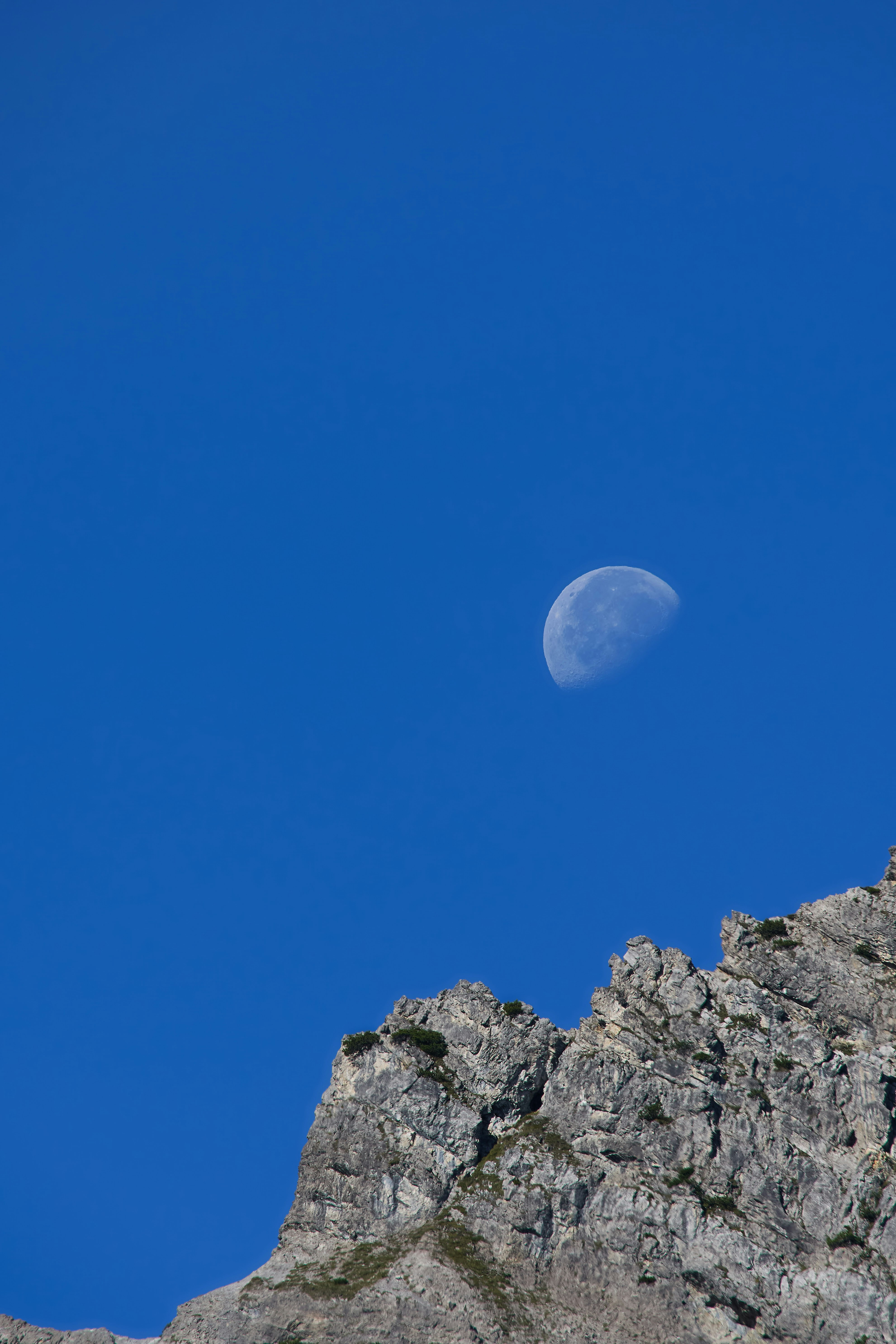 Photo by wolfgang_hasselmann