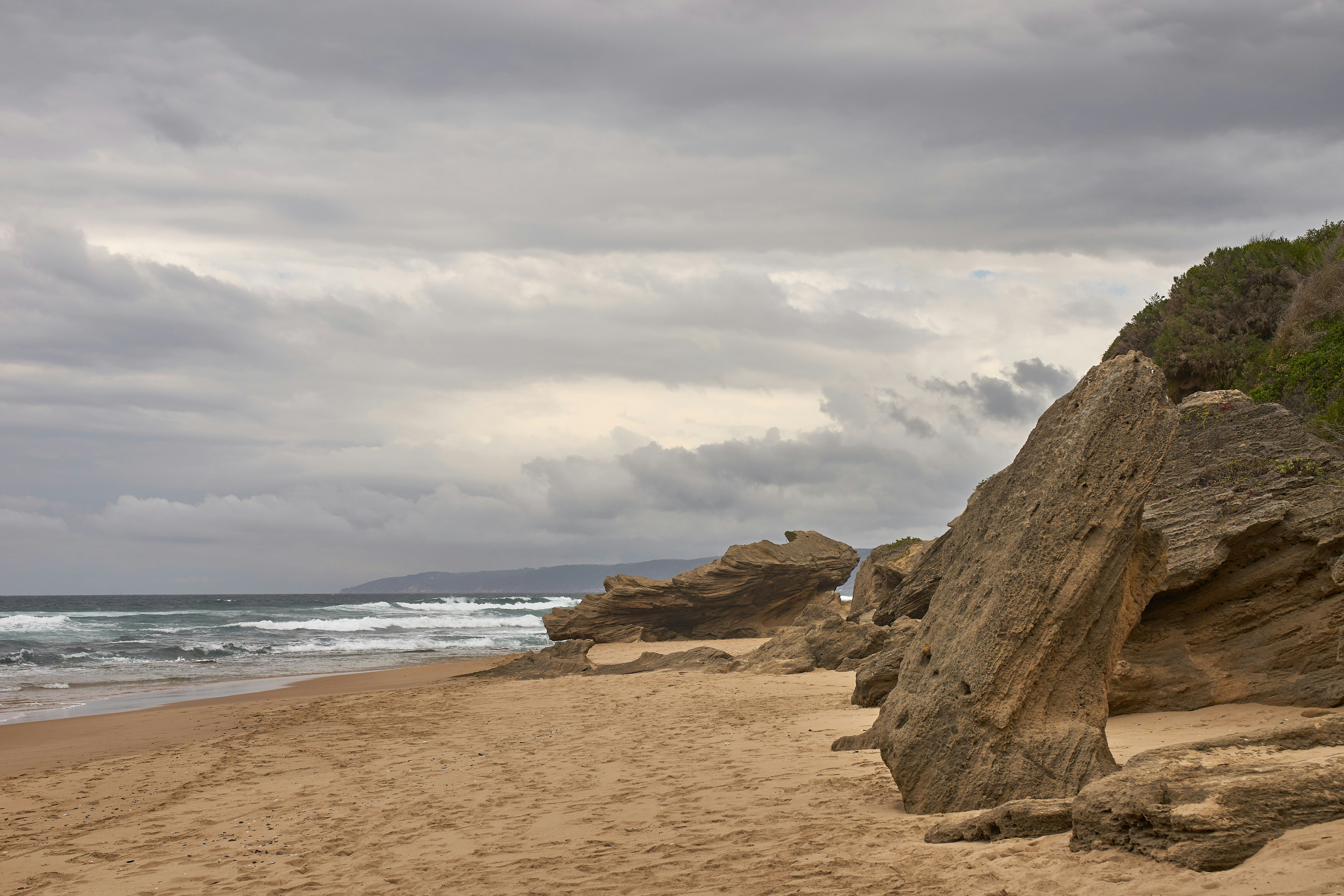 Photo by wolfgang_hasselmann