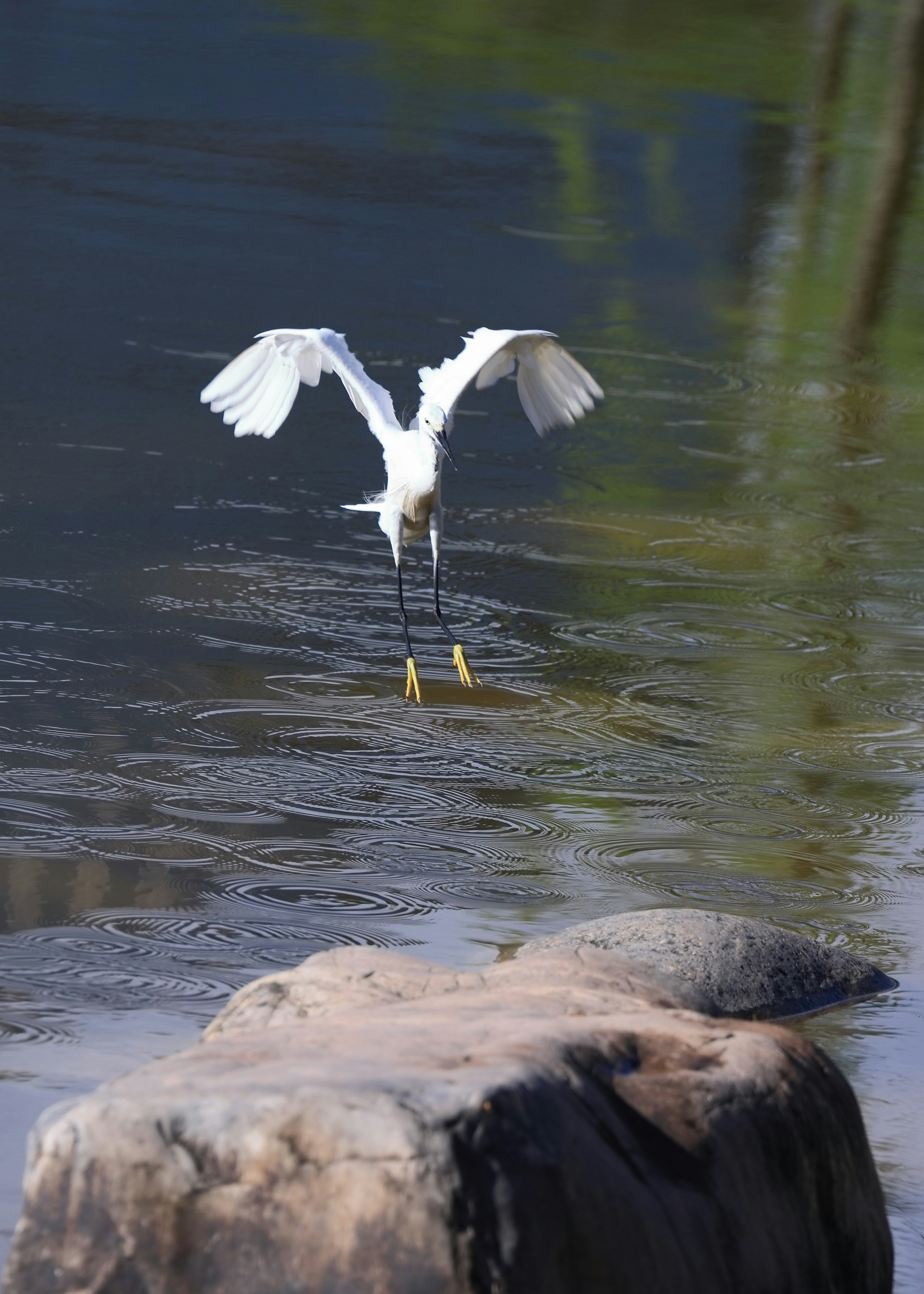 Photo by dickenslin76