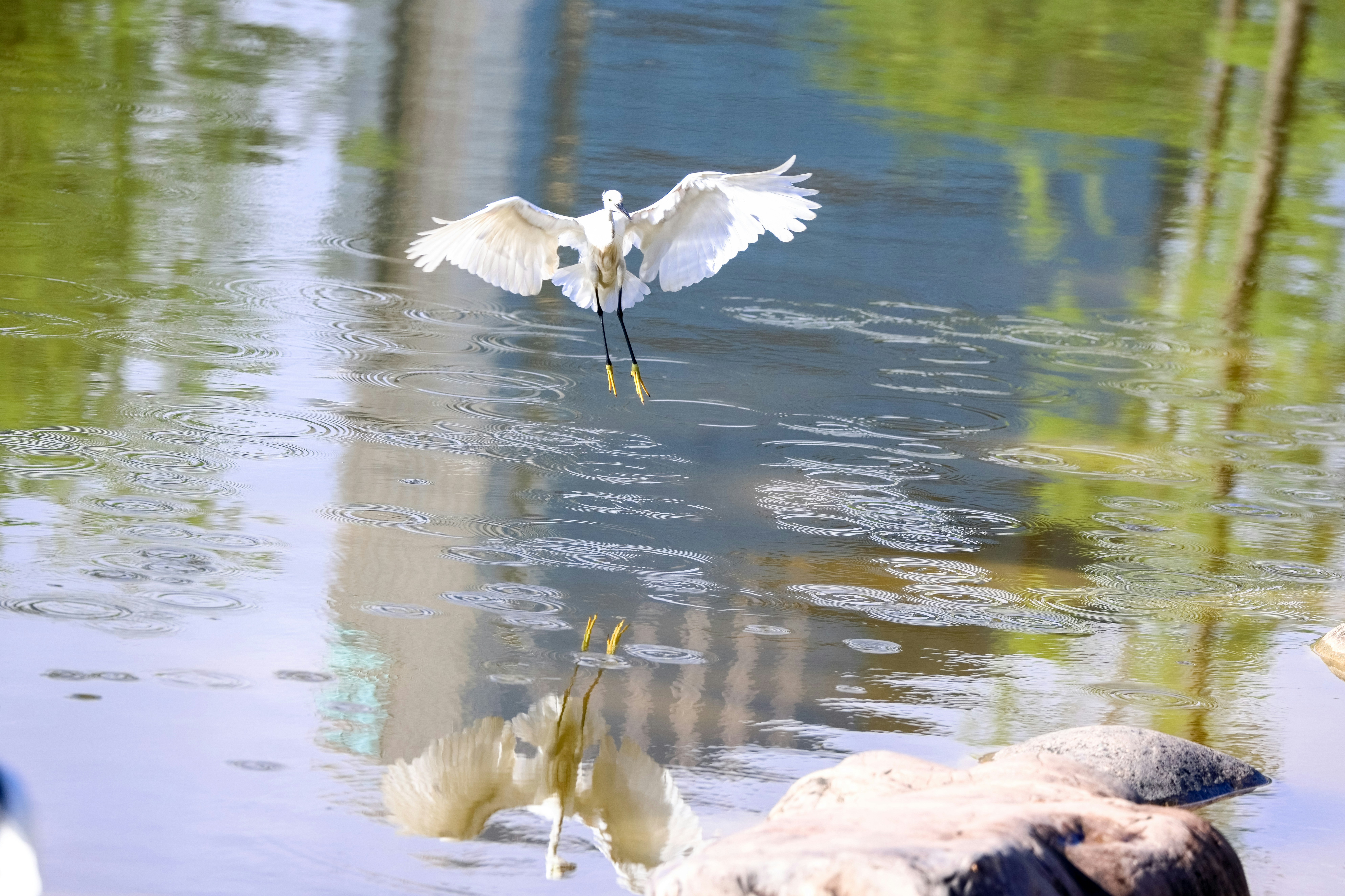 Photo by dickenslin76