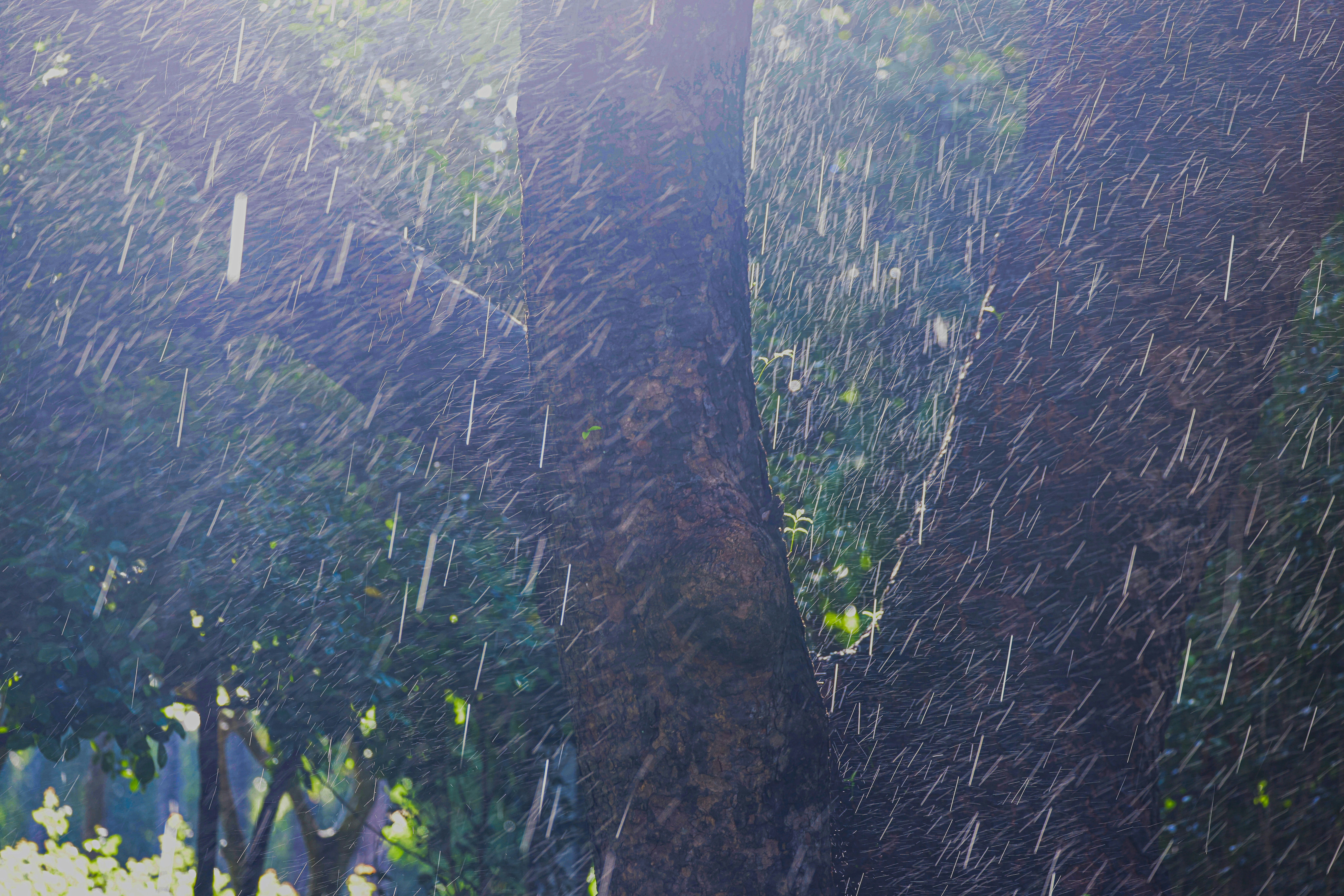 Photo by dickenslin76