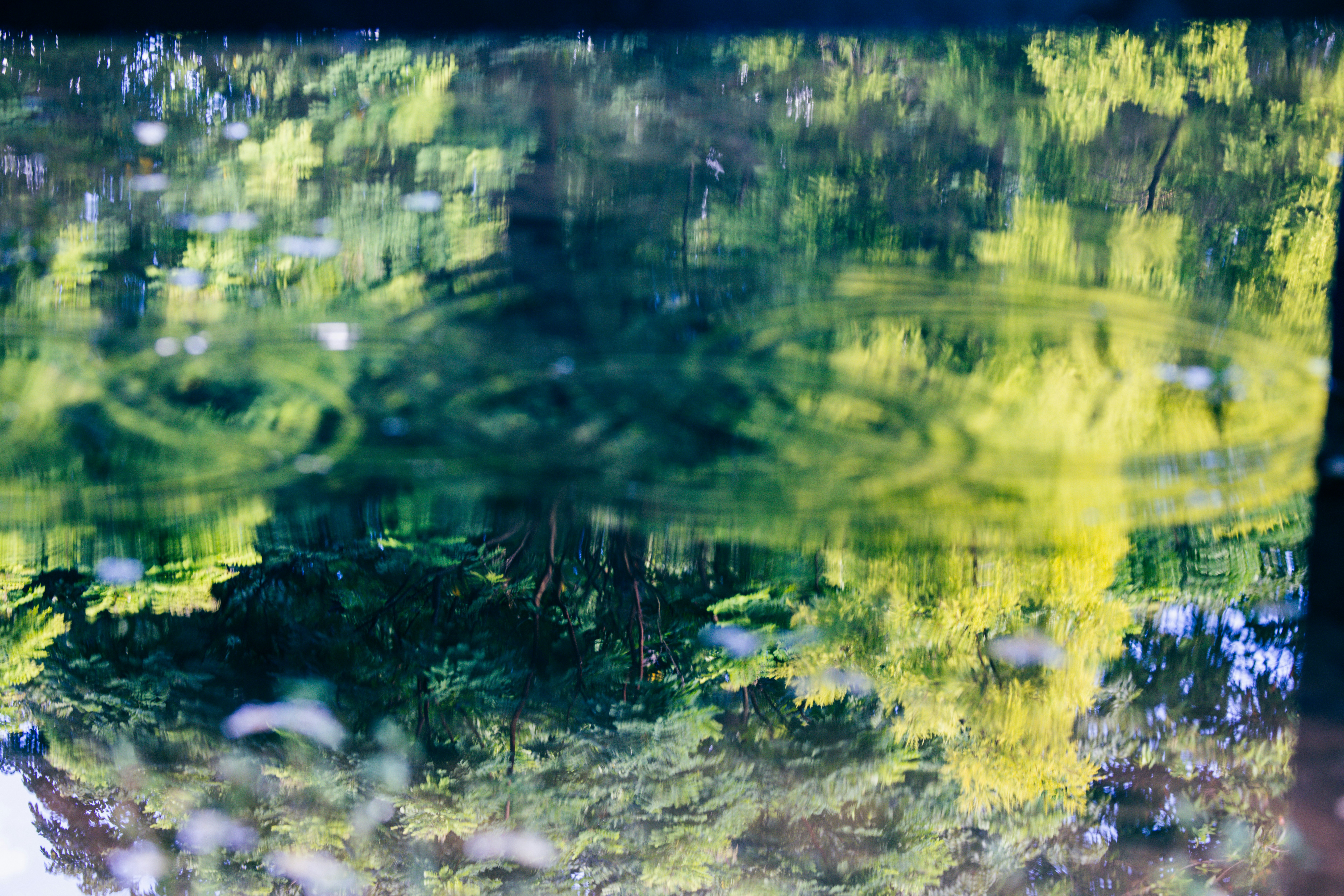 Photo by dickenslin76