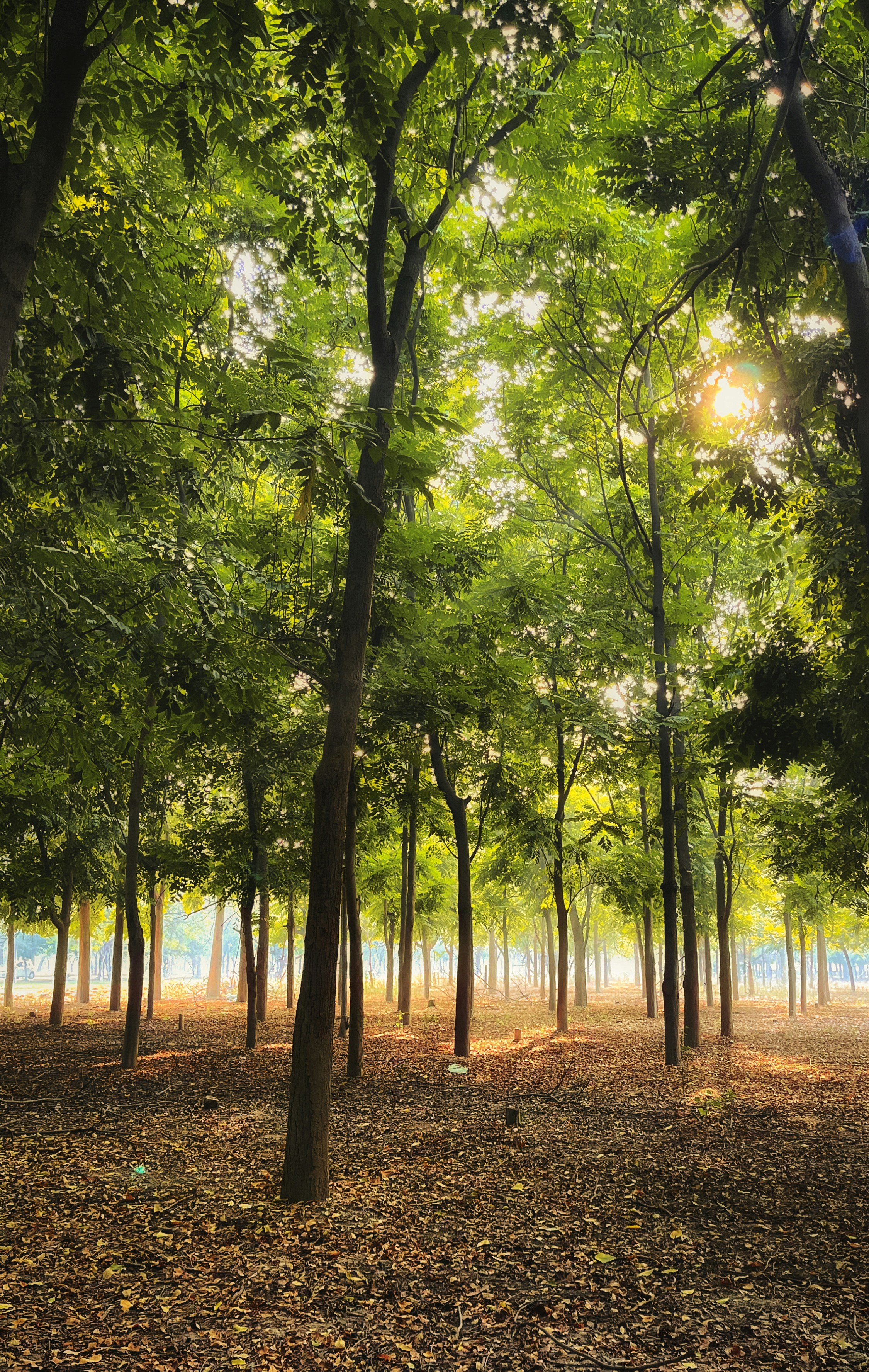 Photo by its_dilpreet