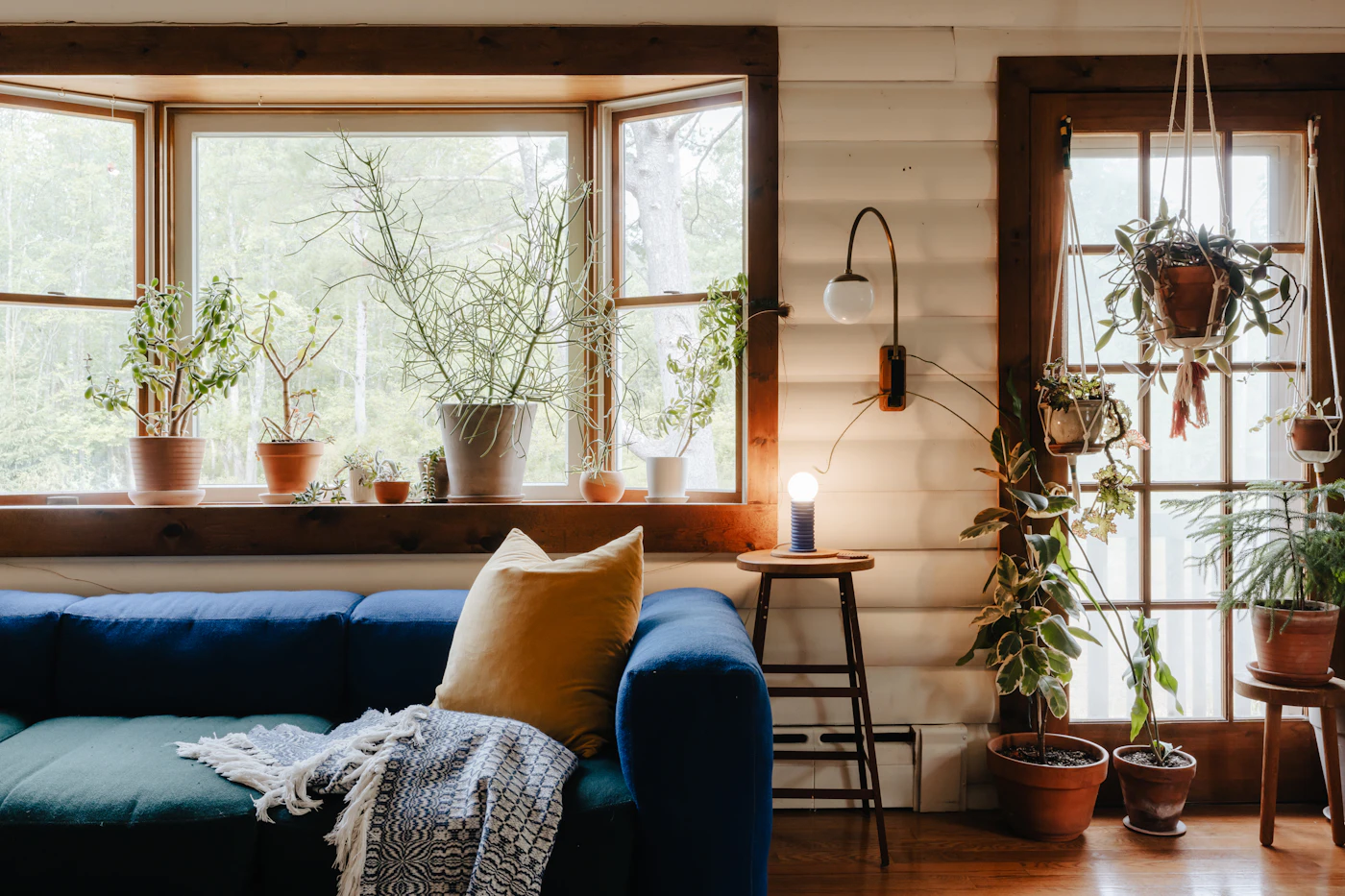 A bright living room with a blue couch, several potted plants, lamps and soft throw pillows