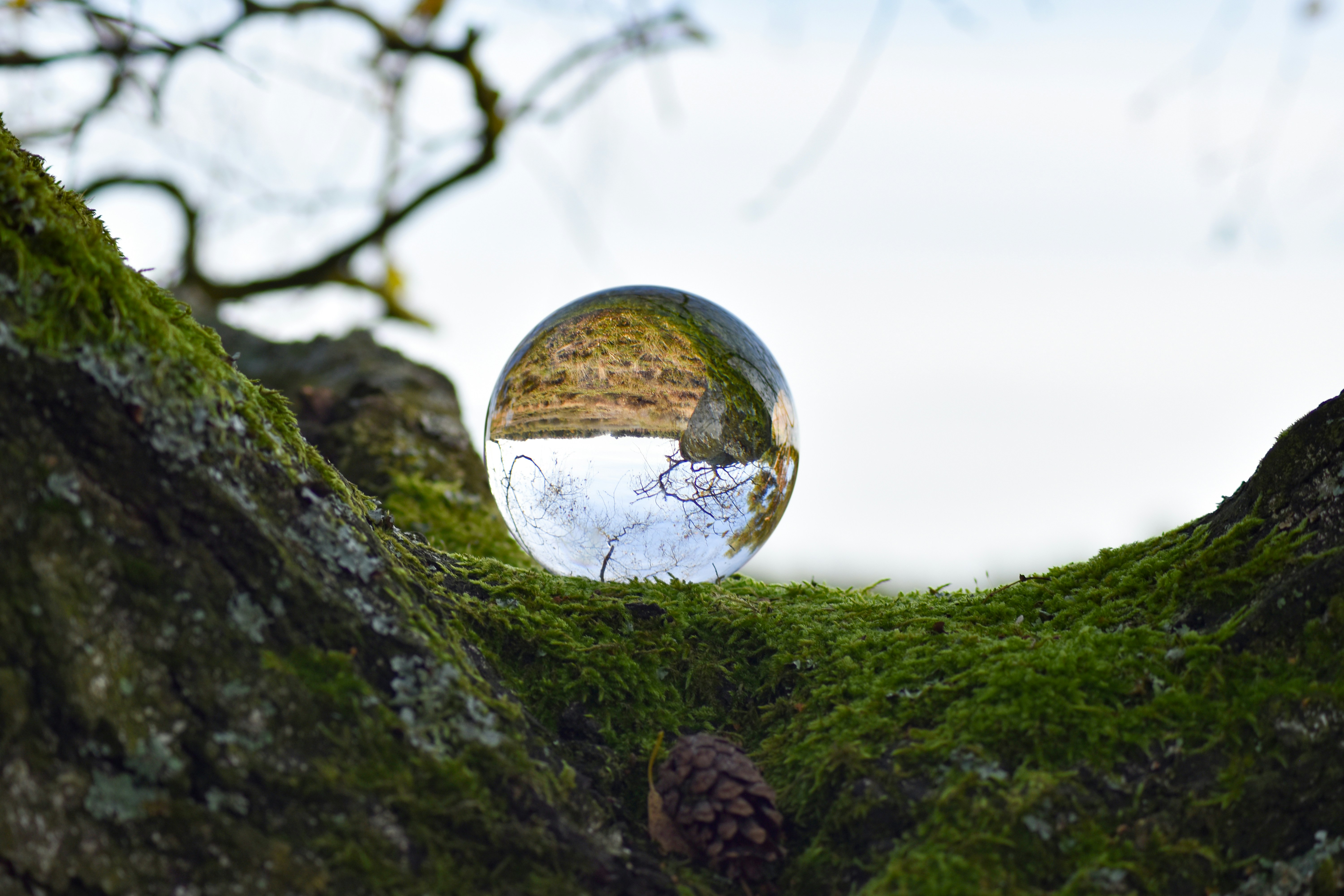 Photo by studionoordhoek