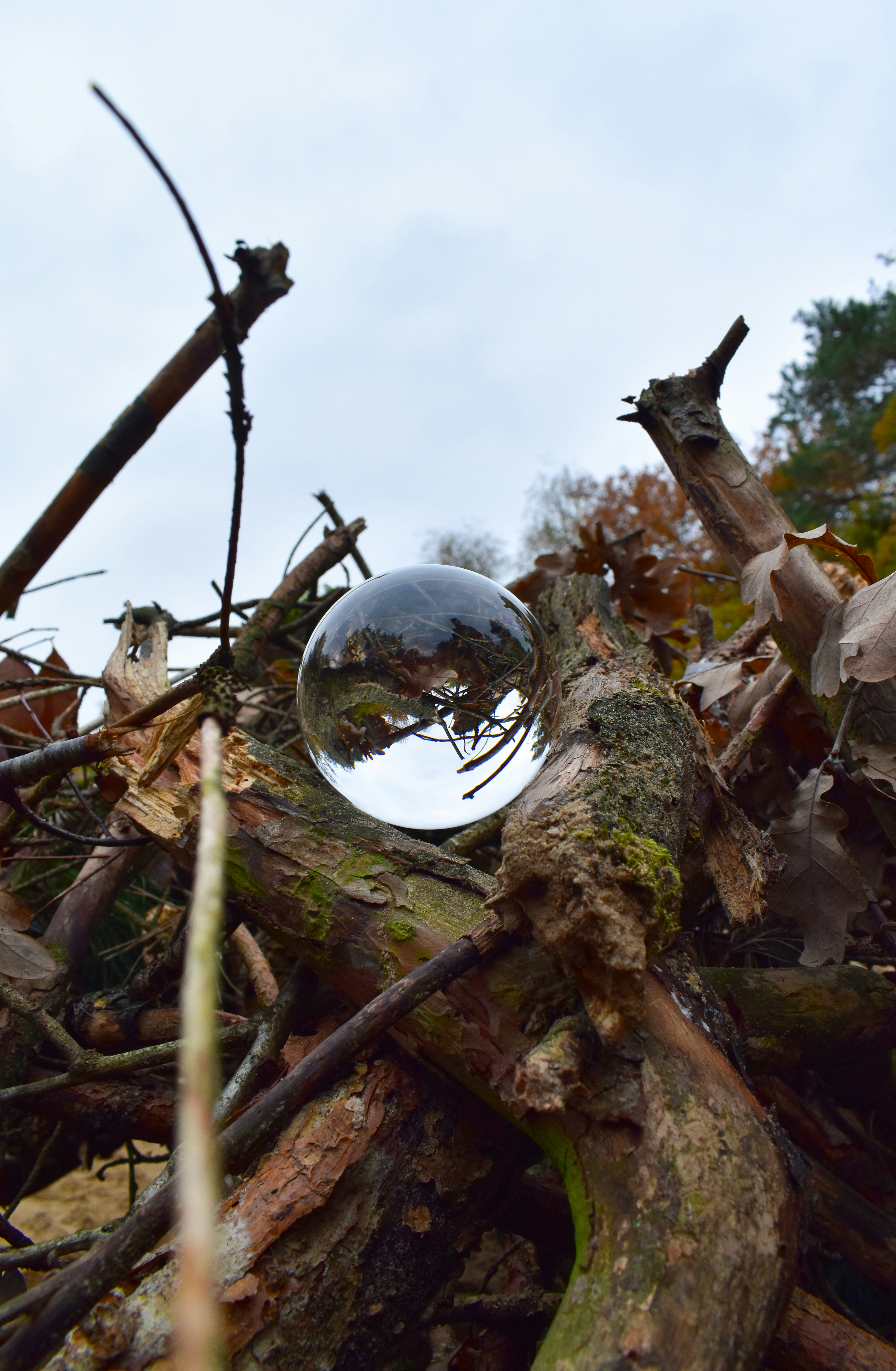 A glass ball sitting on top of a pile of branches